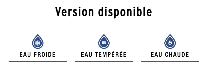 version disponible.png