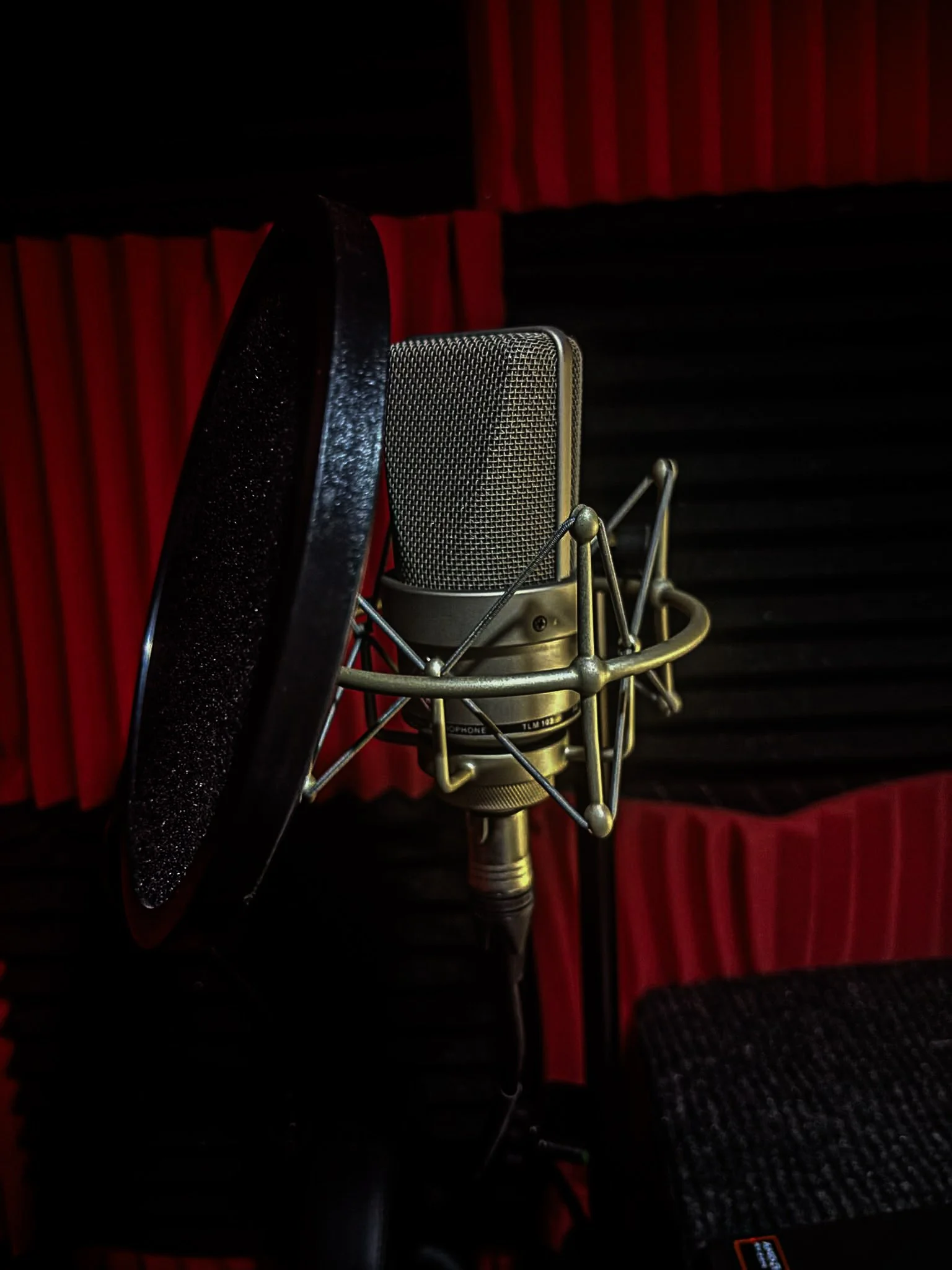 A professional studio microphone mounted on a stand, positioned in front of a red and black soundproofing background.