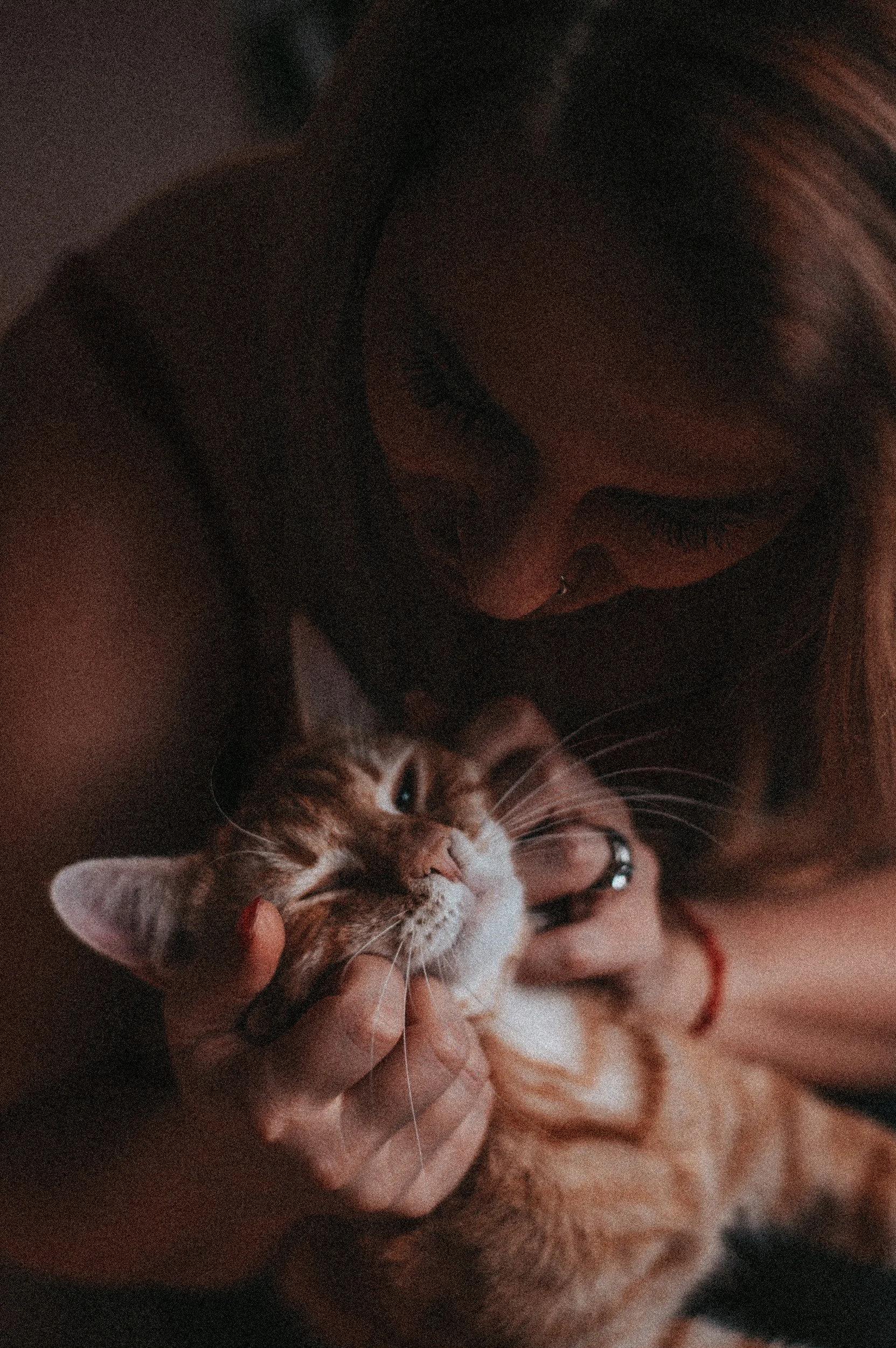 Person holding a ginger and white cat, both appearing relaxed and close.