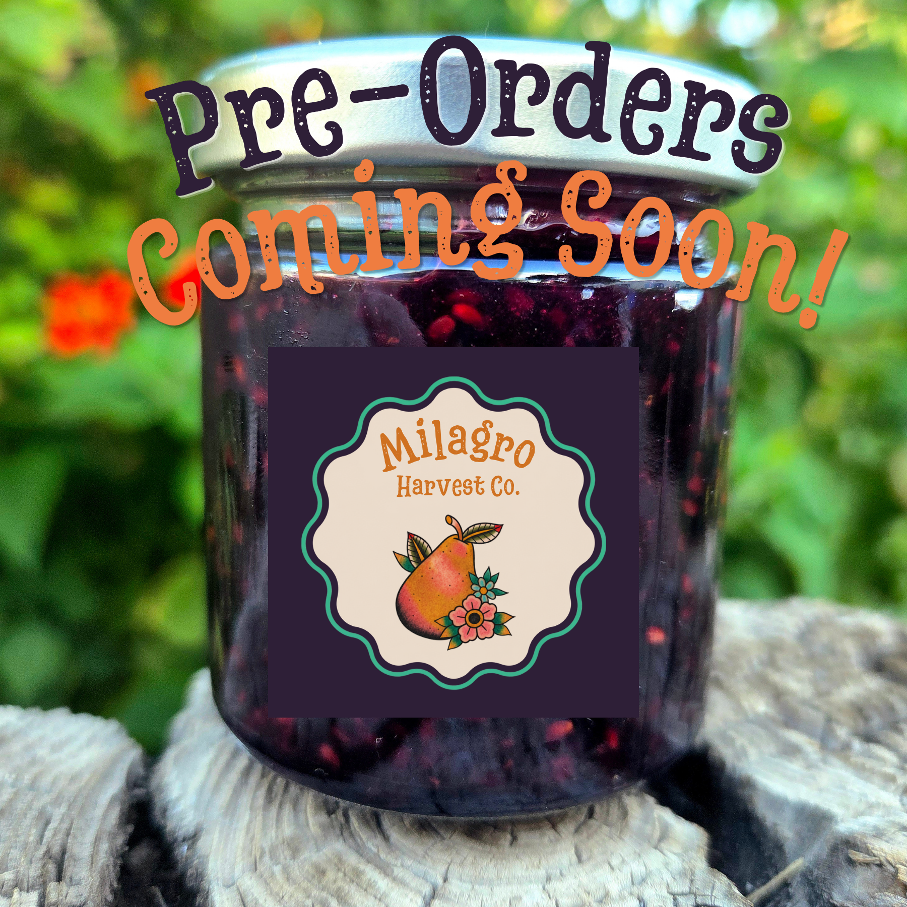 A jar of dark blackberry jam with a label from Milagro Harvest Co. lgoo placed on a rustic wooden surface outdoors, with greenery and flowers in the blurred background.
