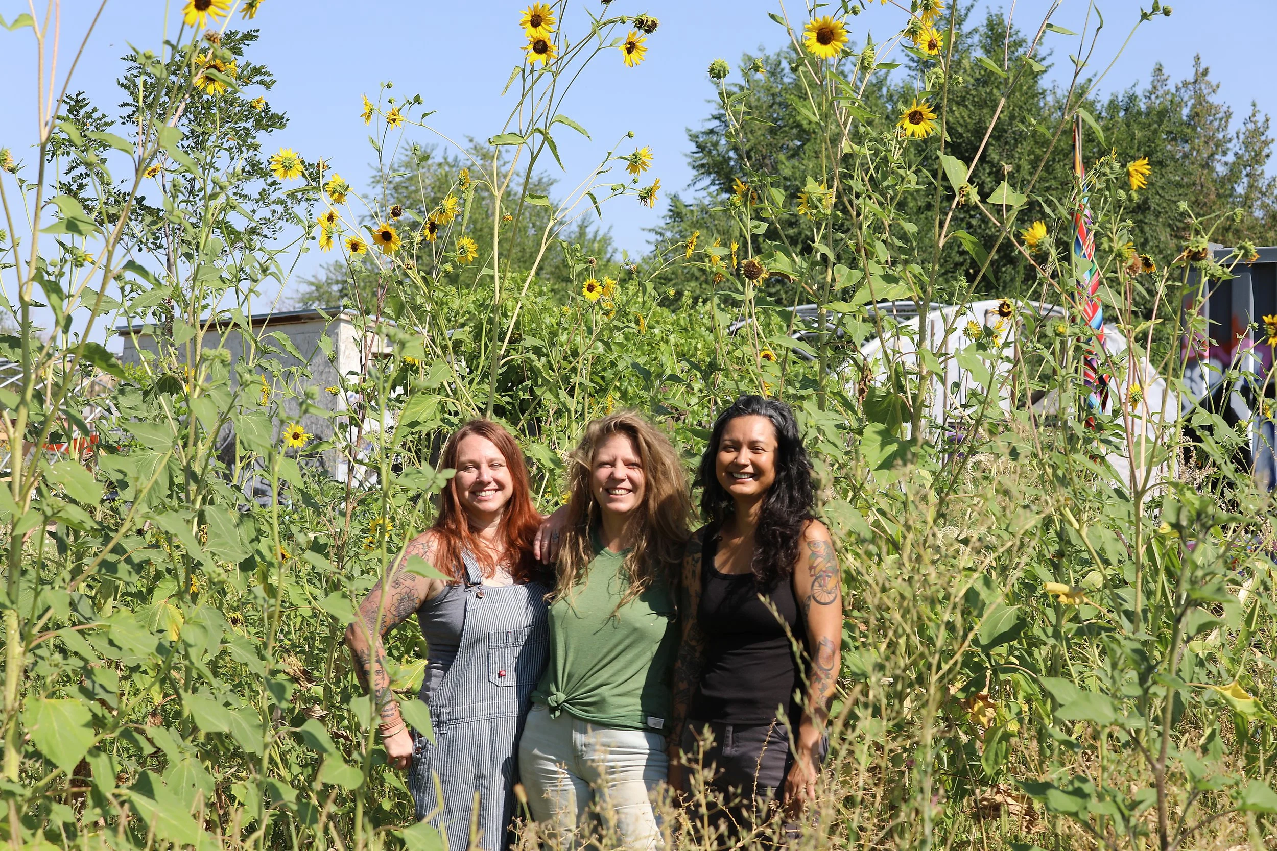 Three women standing in a sunflower field, smiling, with trees and a blue sky in the background.