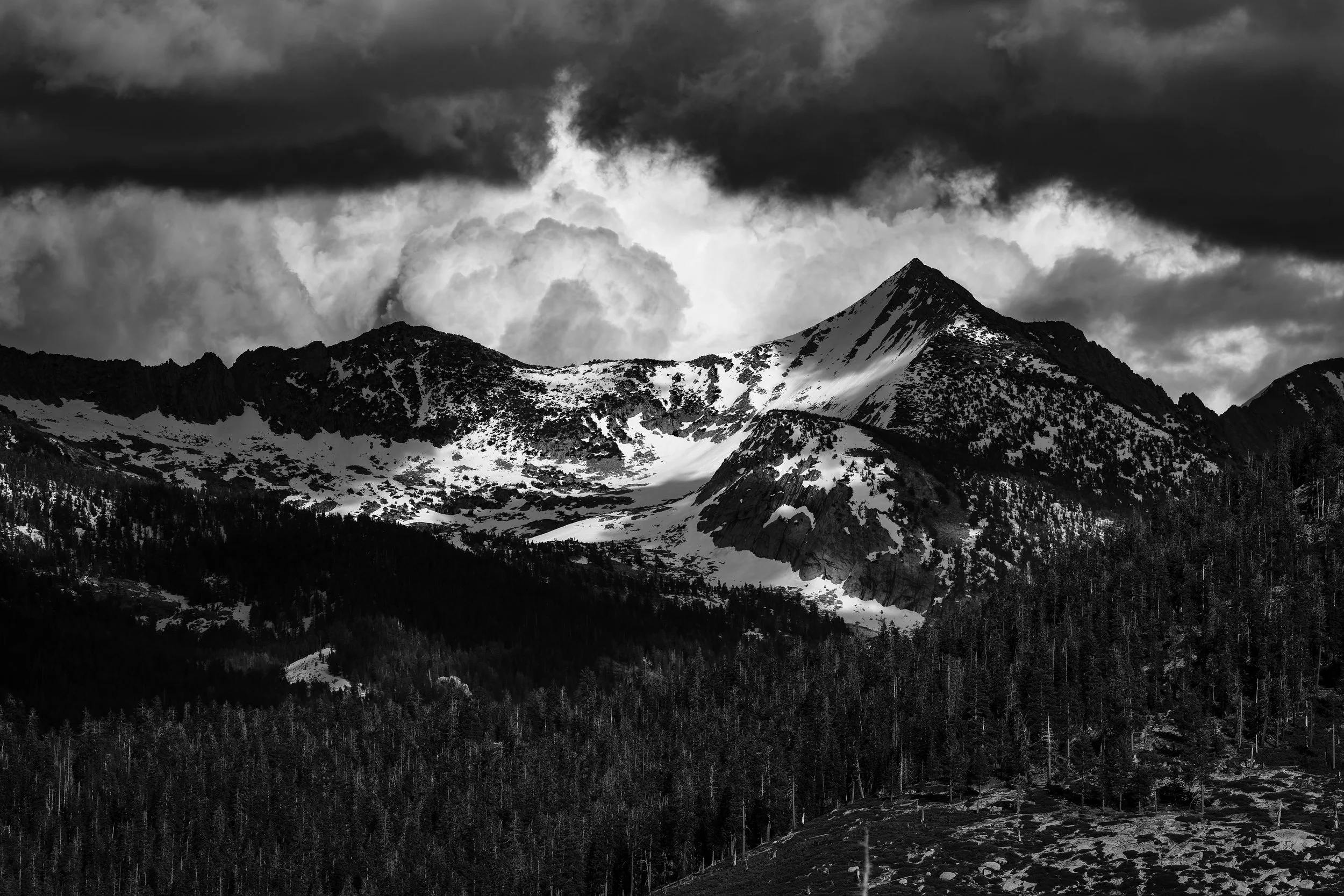 _DSC5770-DxO_DeepPRIME 3.jpg
