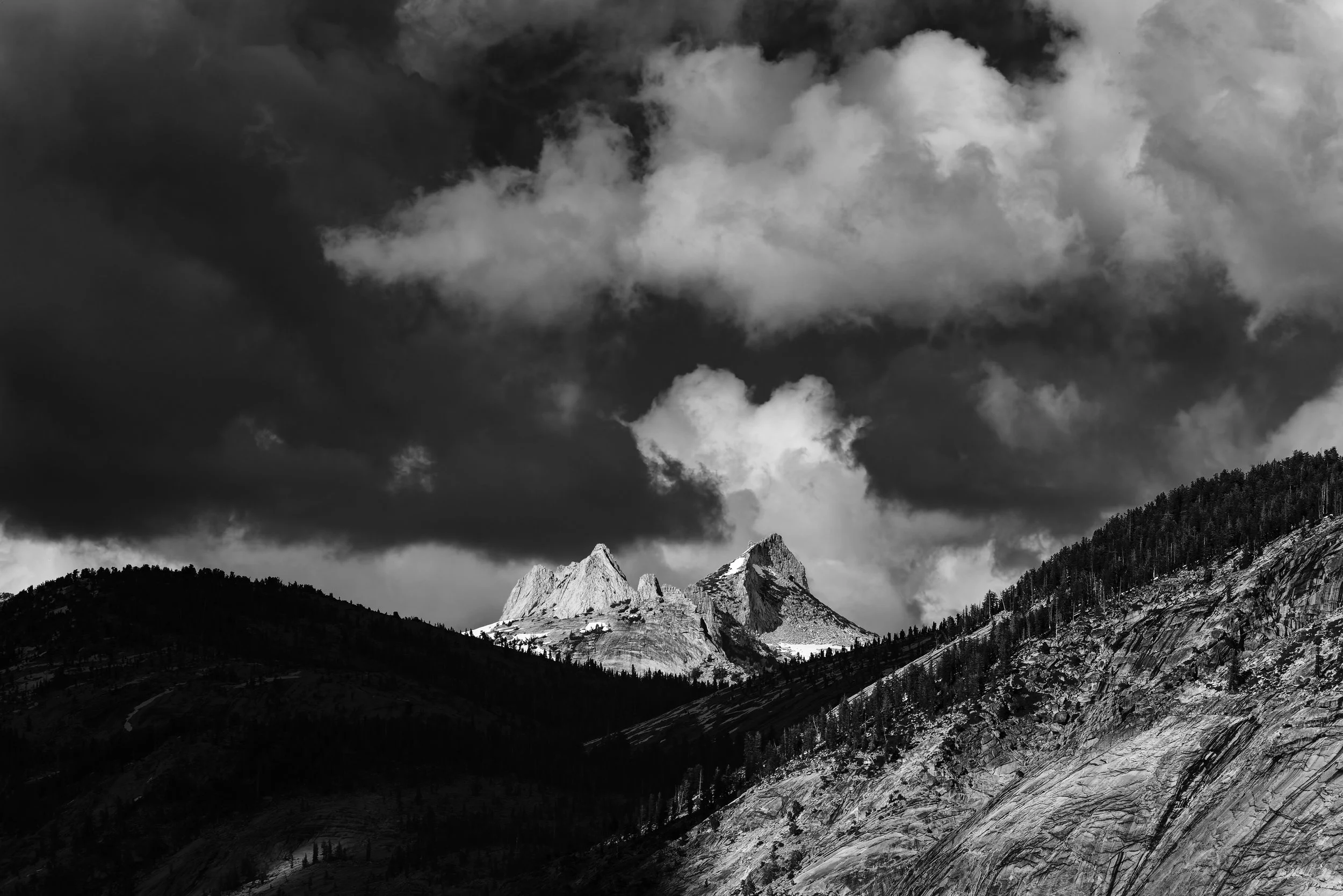 _DSC5766-DxO_DeepPRIME 3.jpg