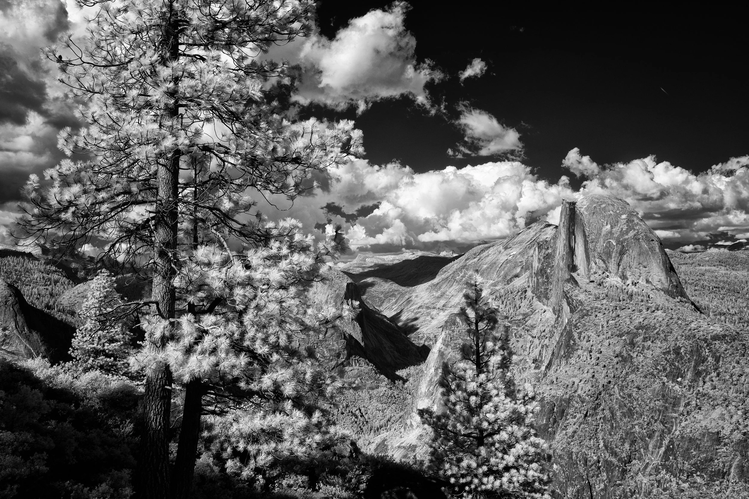 _DSF4174-Edit.jpg