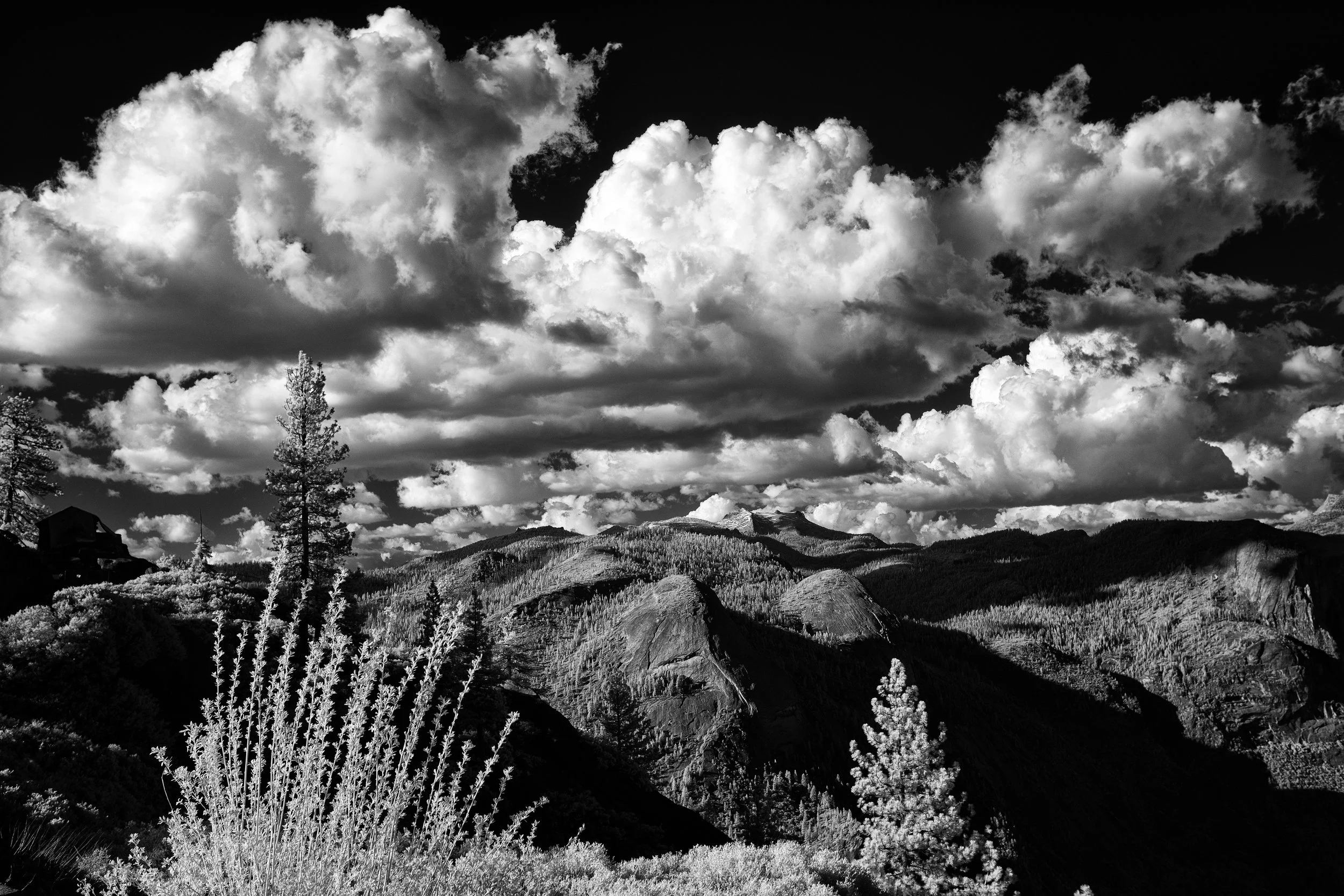 _DSF4182-Edit.jpg