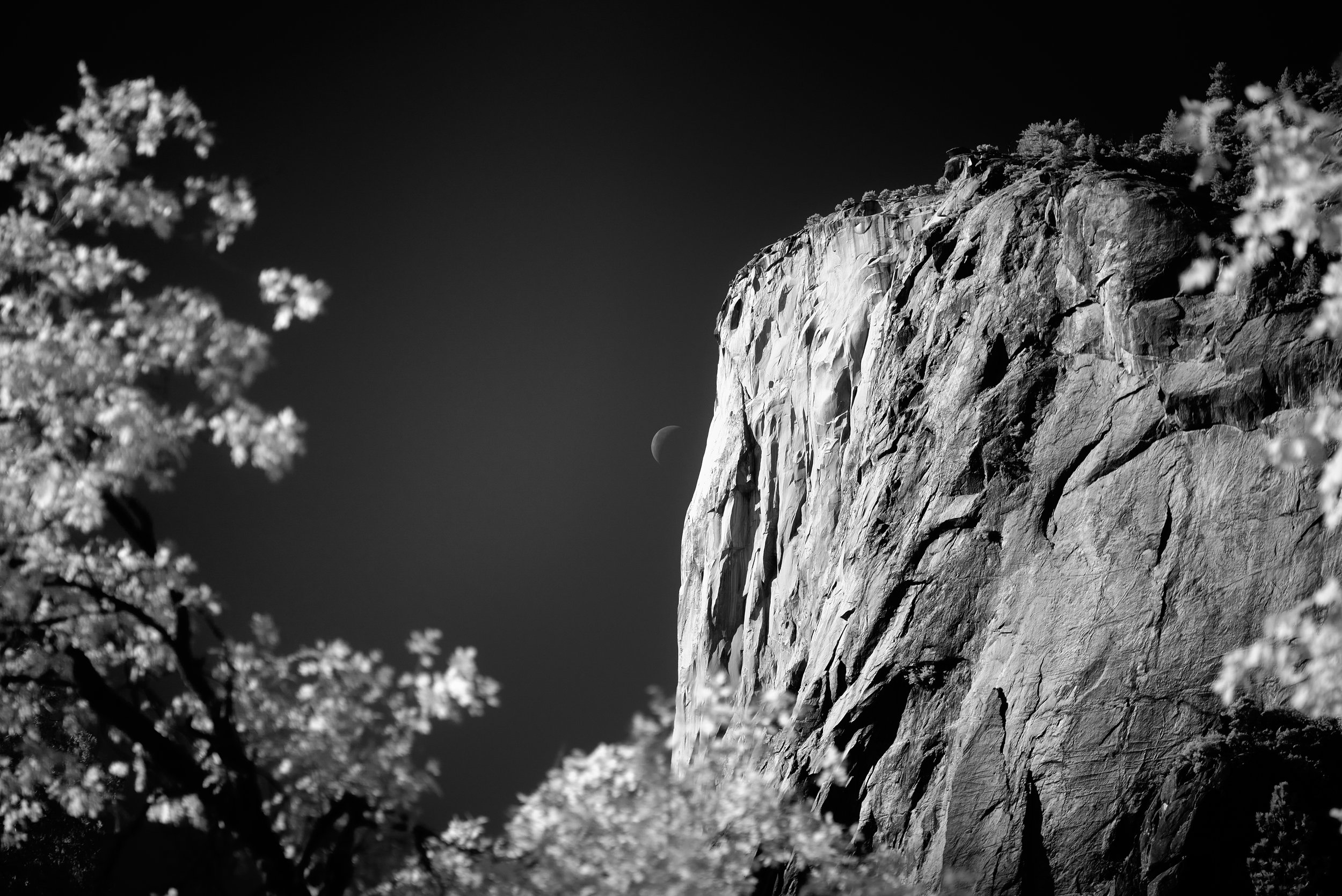 DSCF2286.jpg
