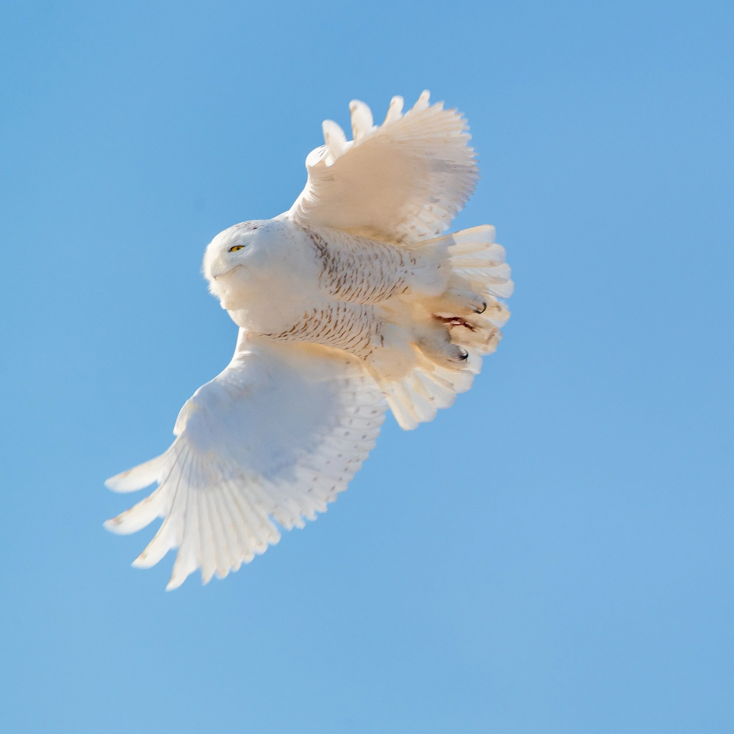 _DSC7274-Edit.jpg