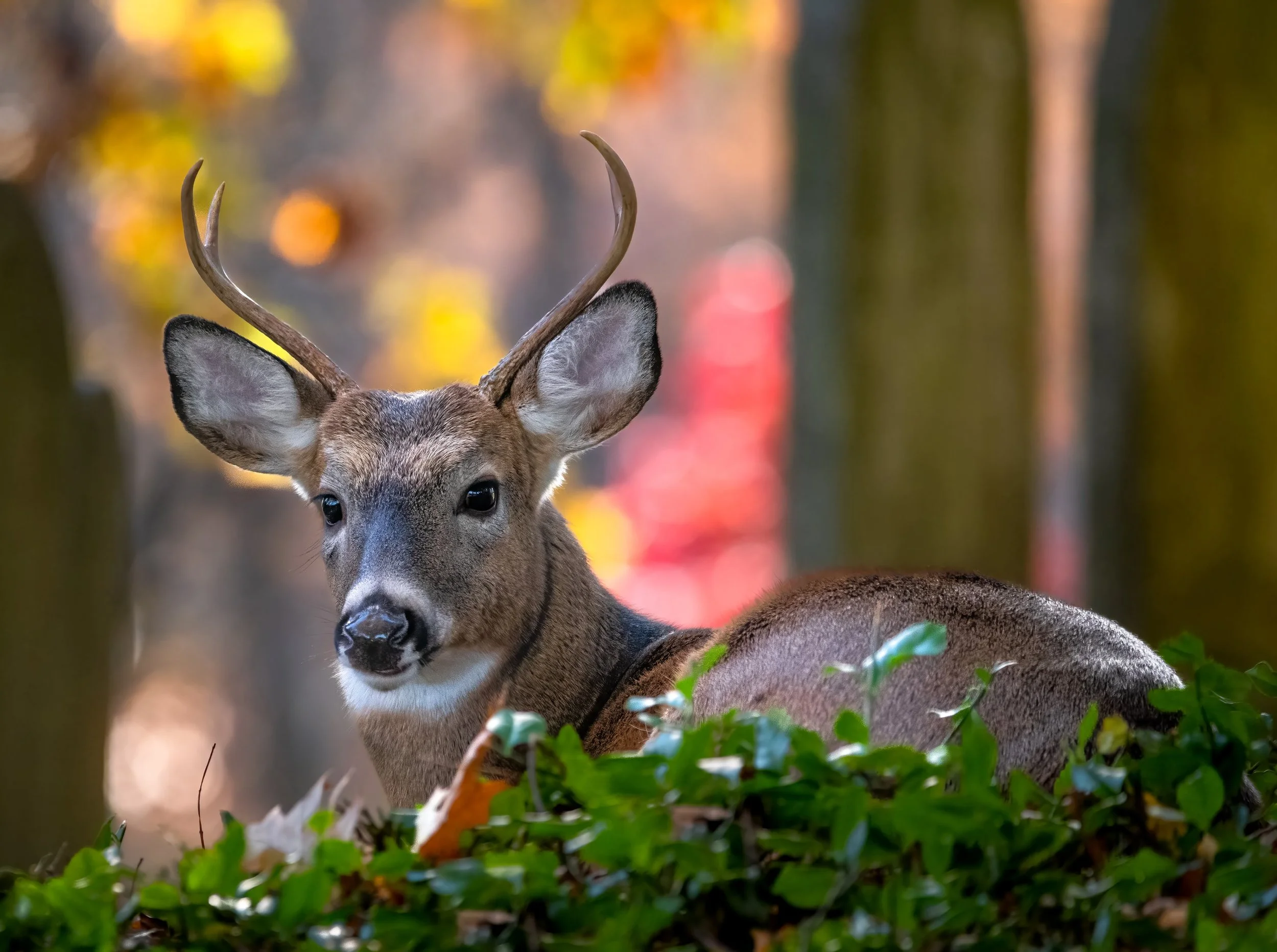 _DSC5484-Edit.jpg
