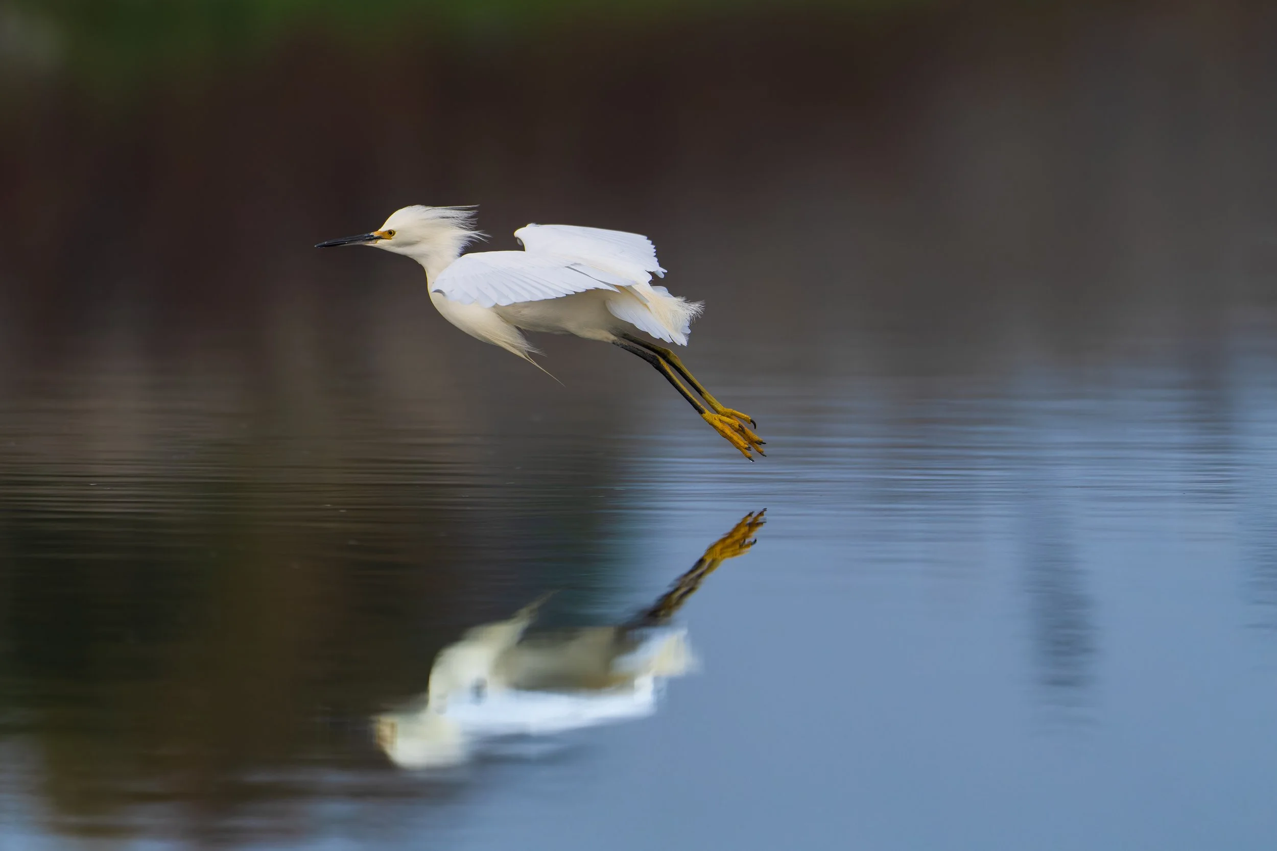_DSC2922-ARW_DxO_DeepPRIMEXD.jpg
