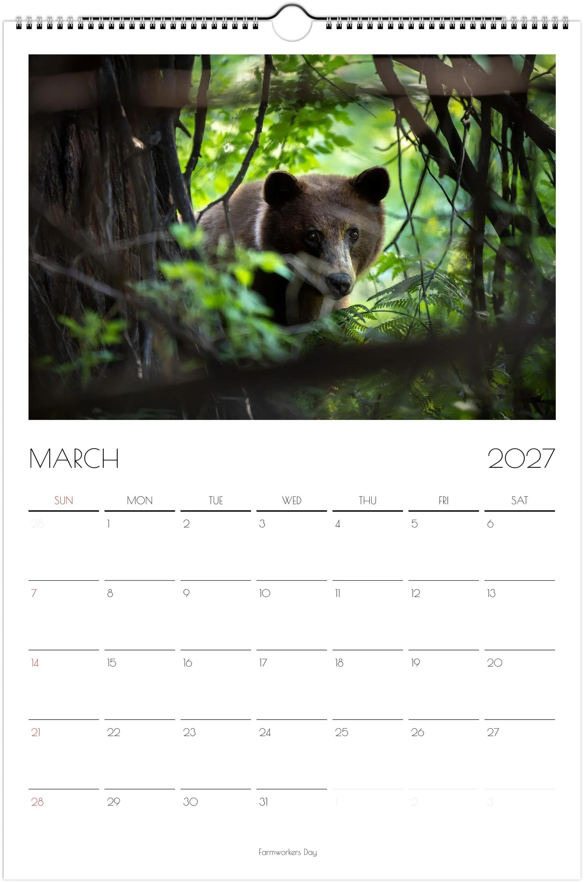 month-3.jpeg