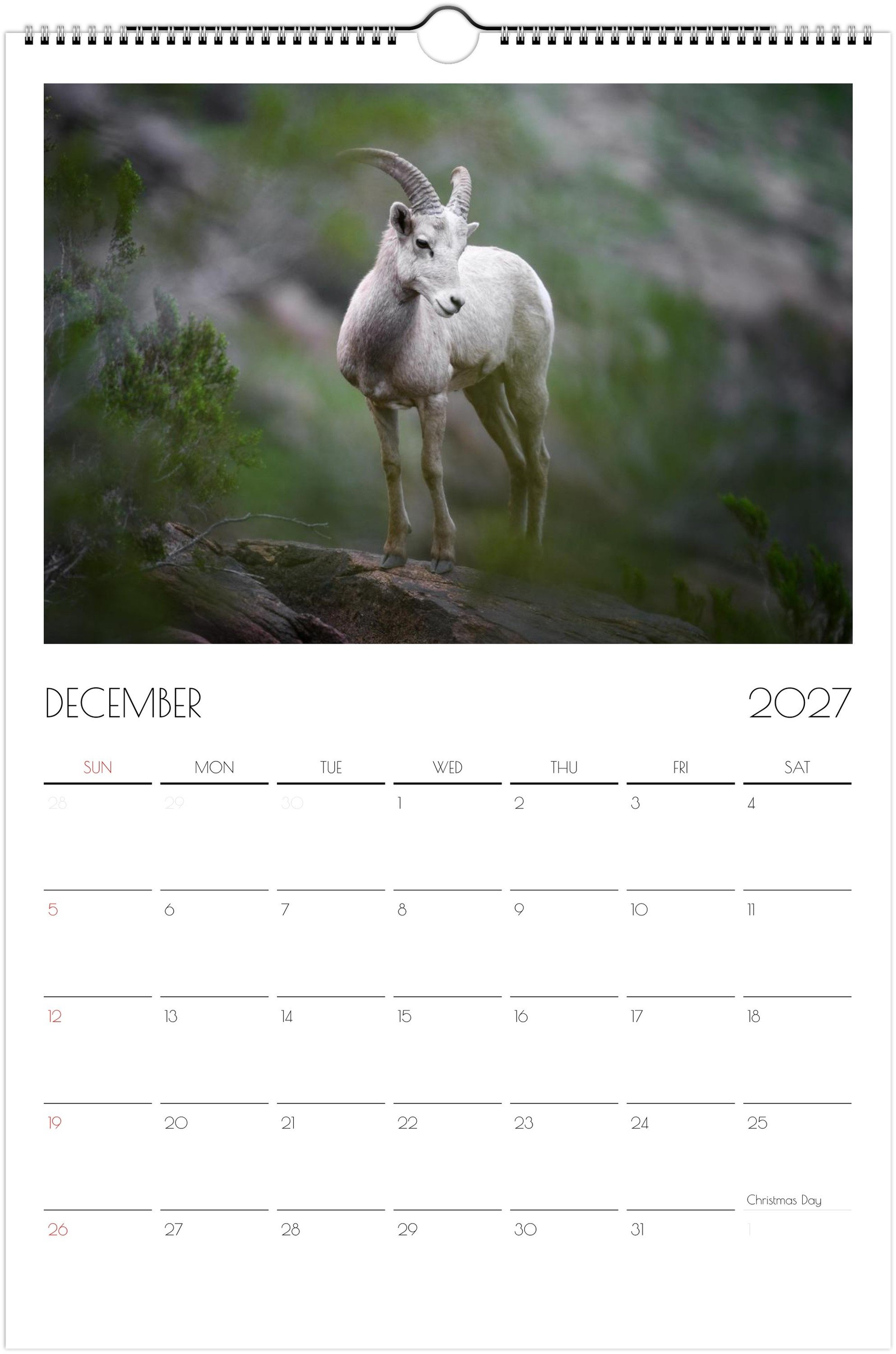 month-12.jpeg