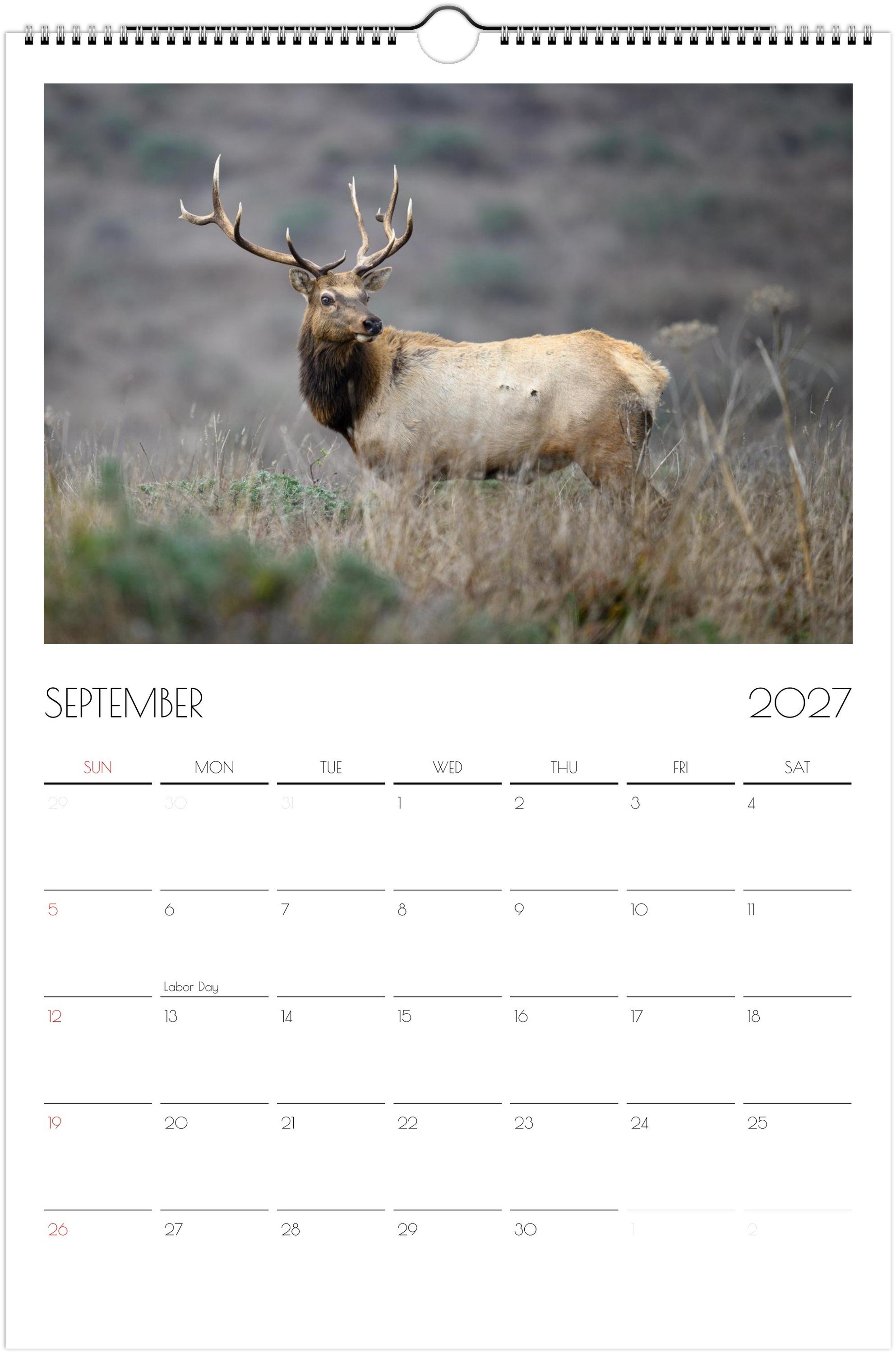 month-9.jpeg