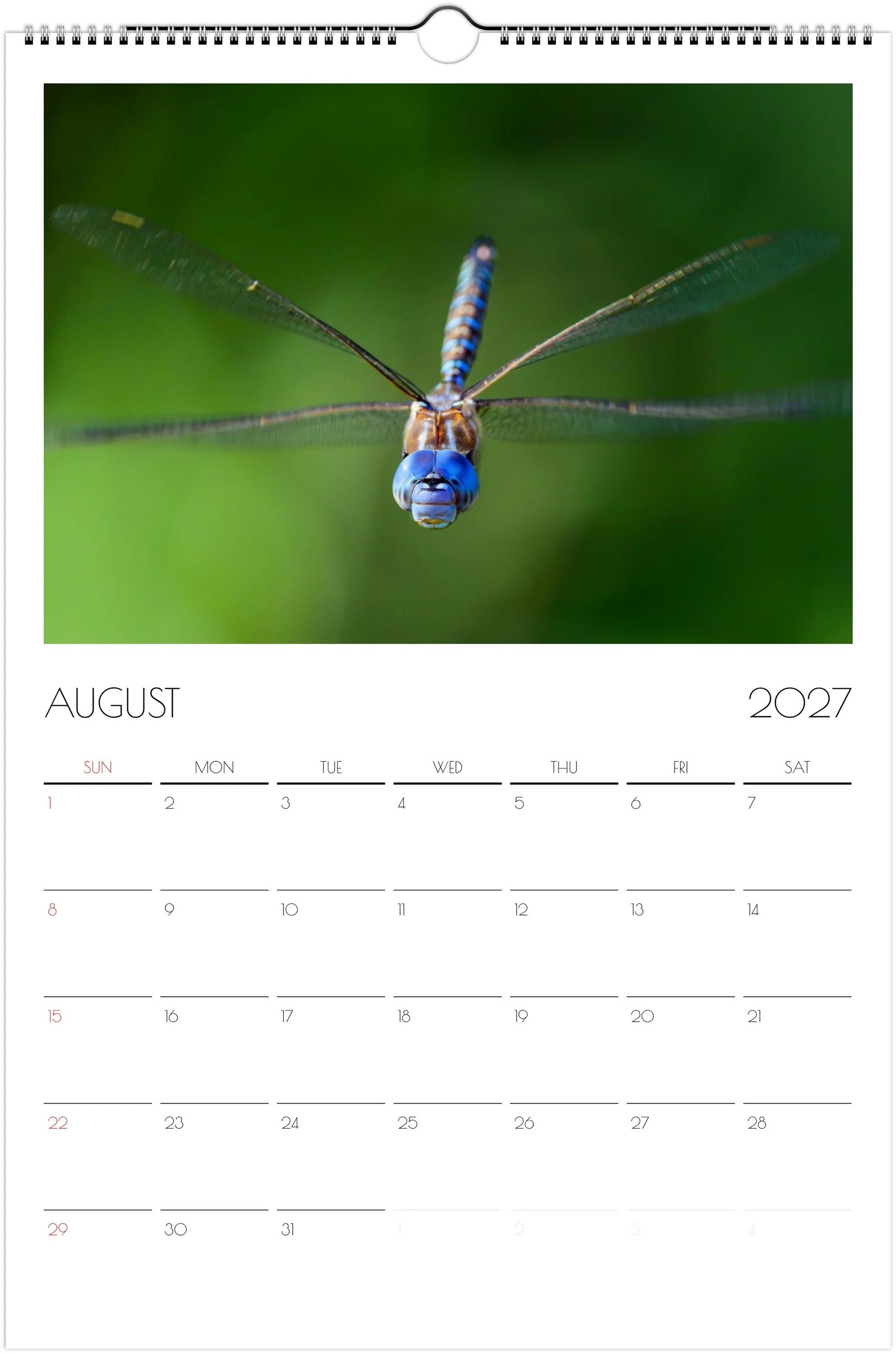 month-8.jpeg