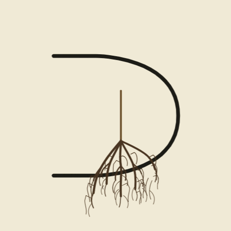 The Dime Collective