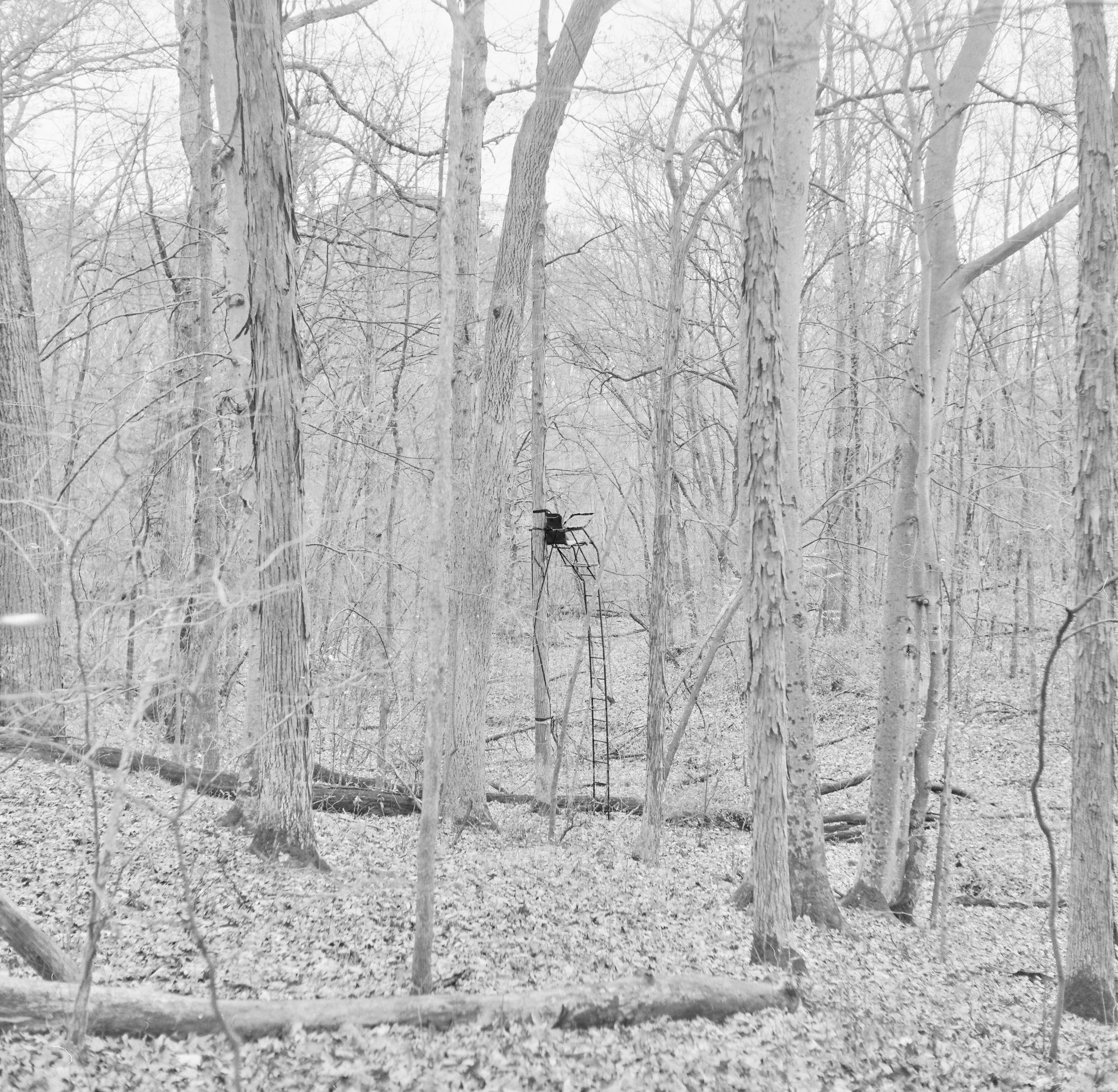 20241119_DeerCamp_120Film_030.jpg