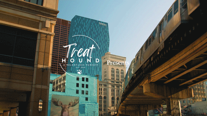 TREAT HOUND // SERIES