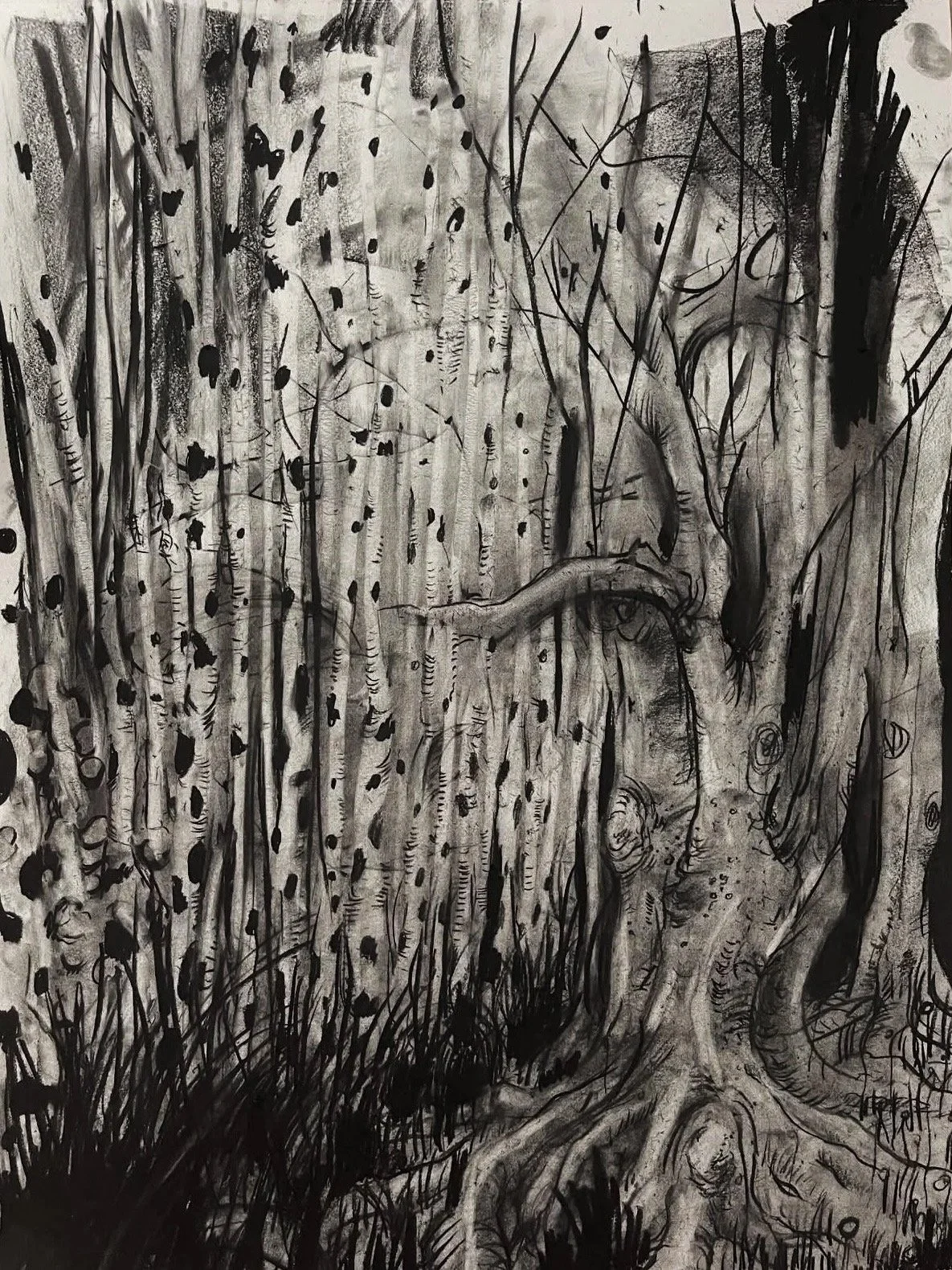 UNTITLED Charcoal on Paper, 18 x 24", 2024.