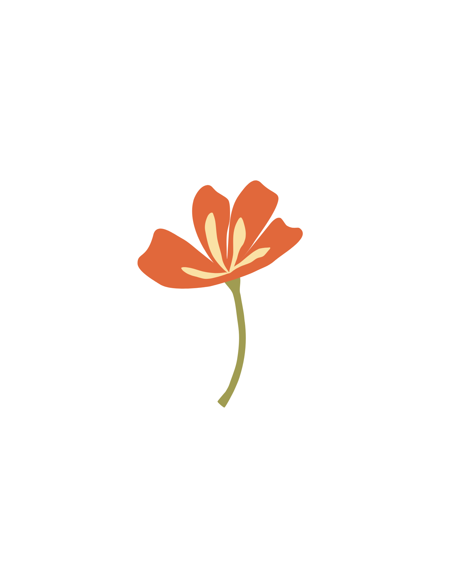 A simple illustration of a single orange flower with cream-colored details on a black background.
