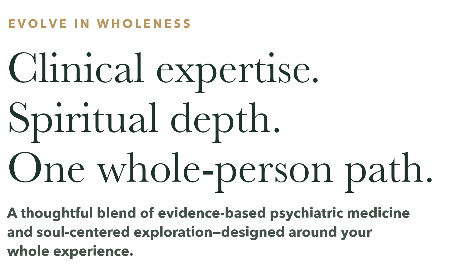 Text promoting a holistic and evidence-based psychiatric approach, emphasizing clinical expertise, spiritual depth, and a whole-person pathway.