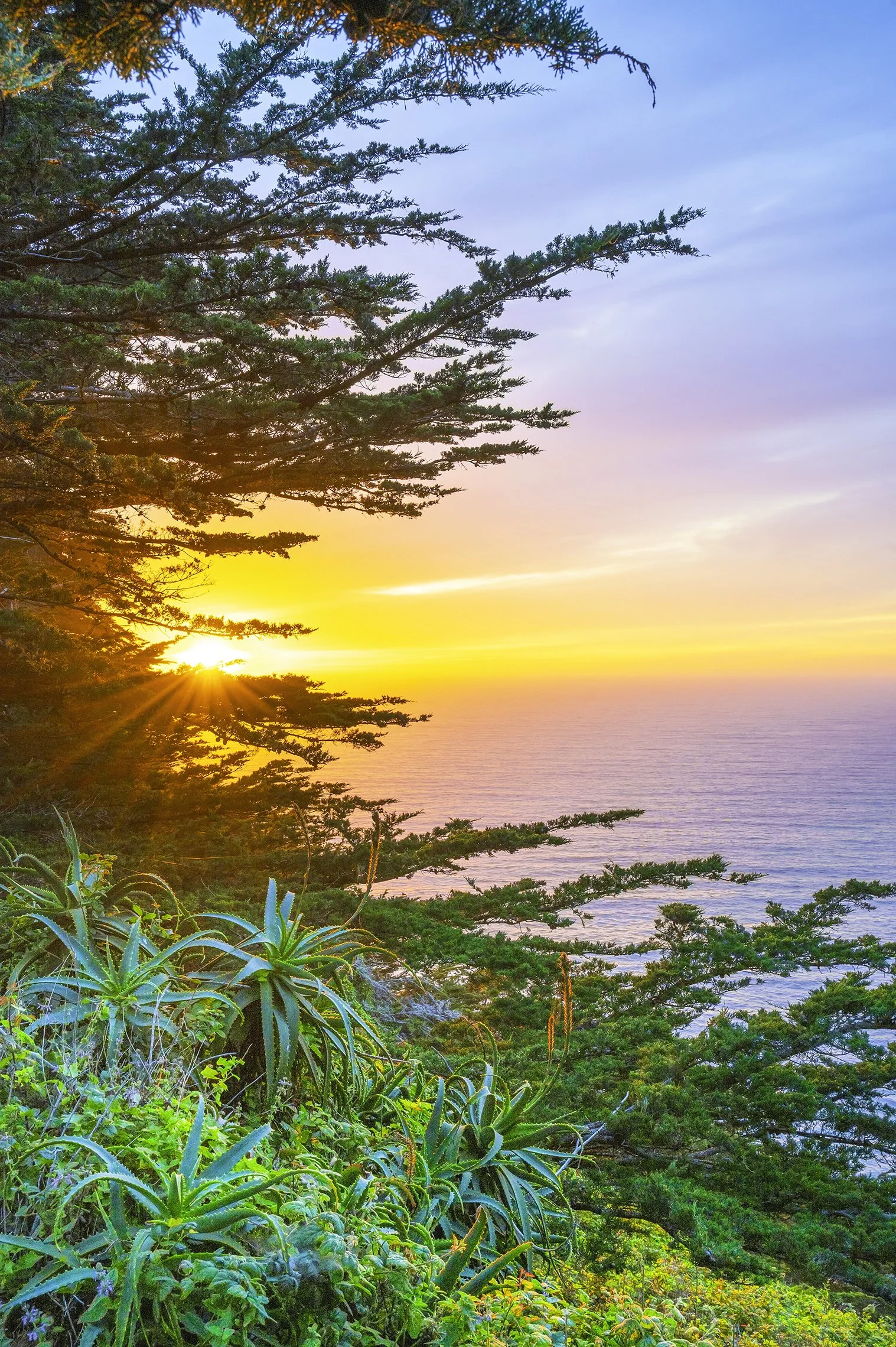 "Big Sur Glow"