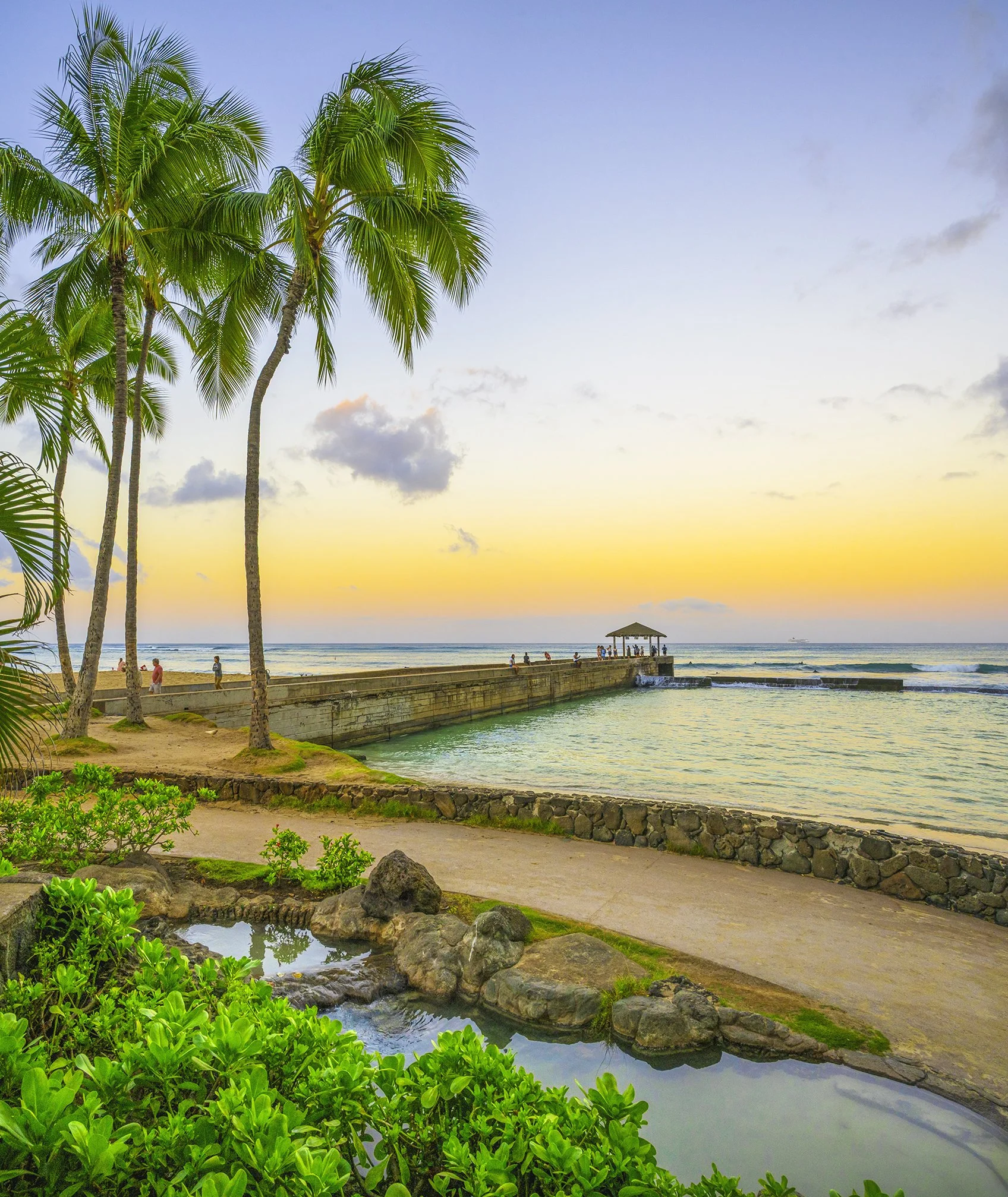 "Good Morning Waikiki"