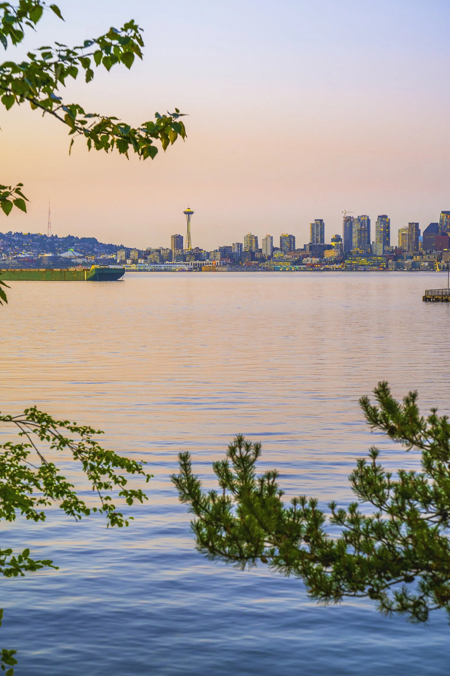 " Space Needle & Pine Needles "