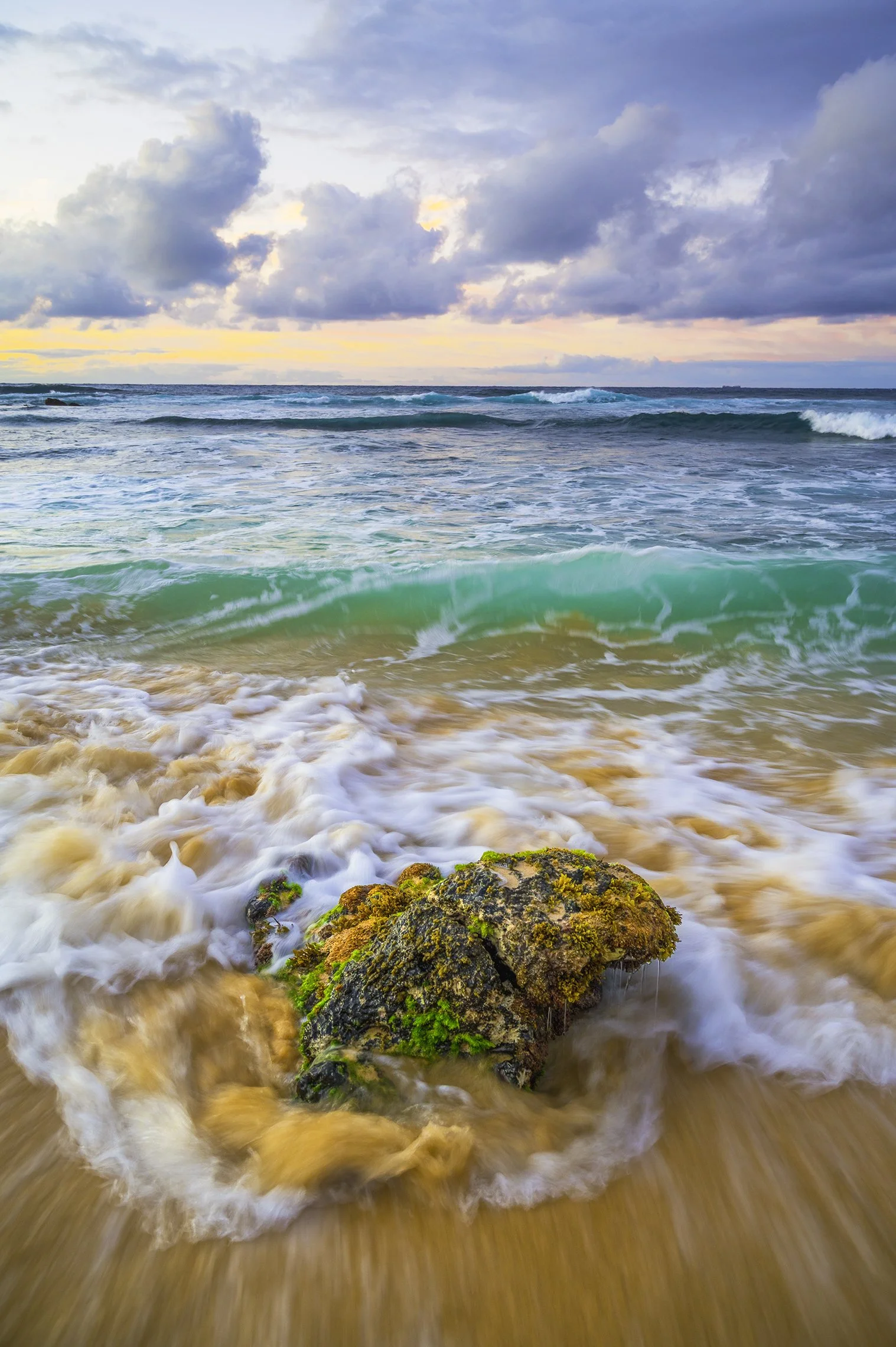 "Sandy Tides"