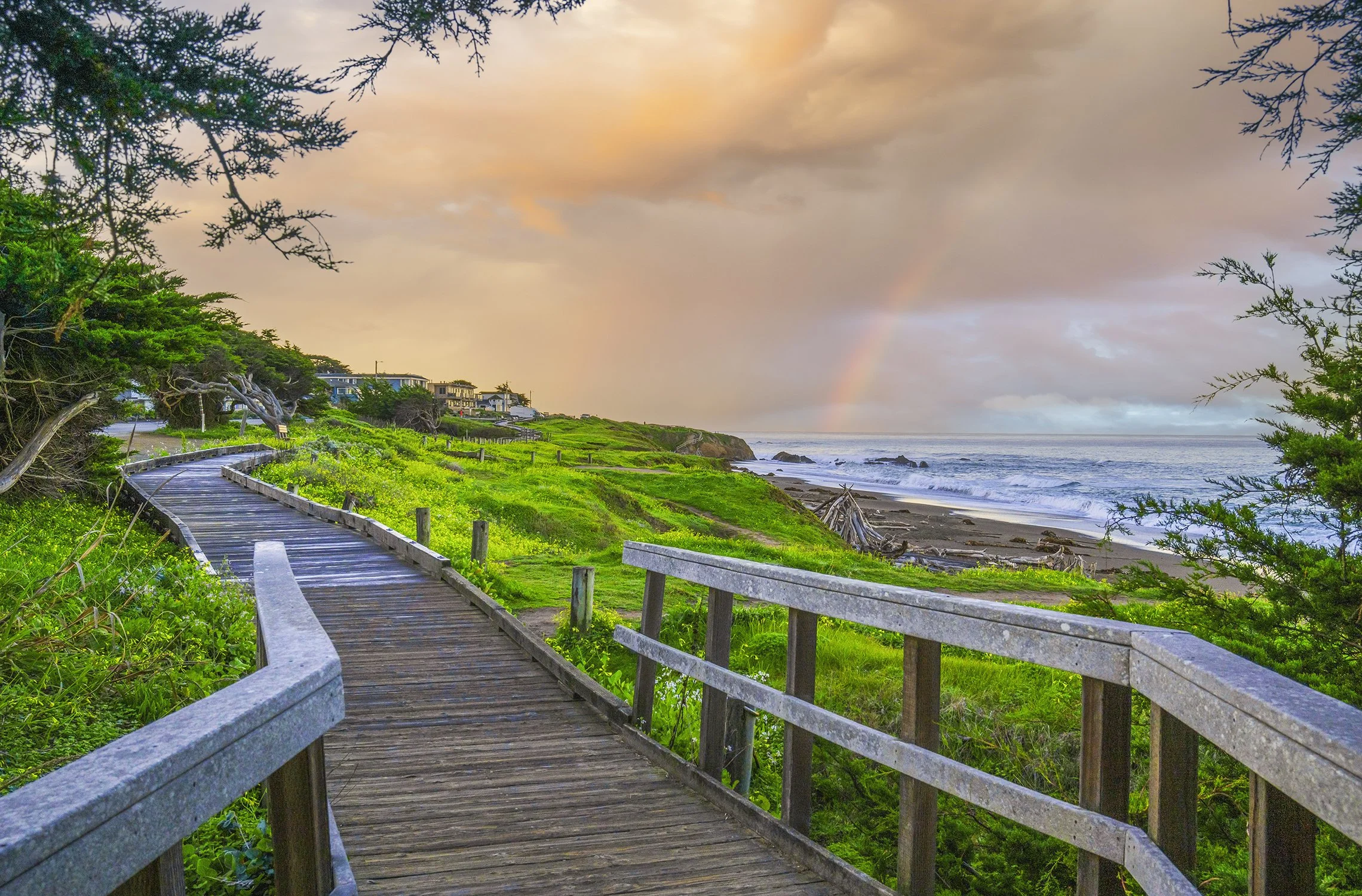 "Cambria Bliss"