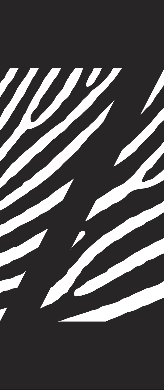 The Zebra Building