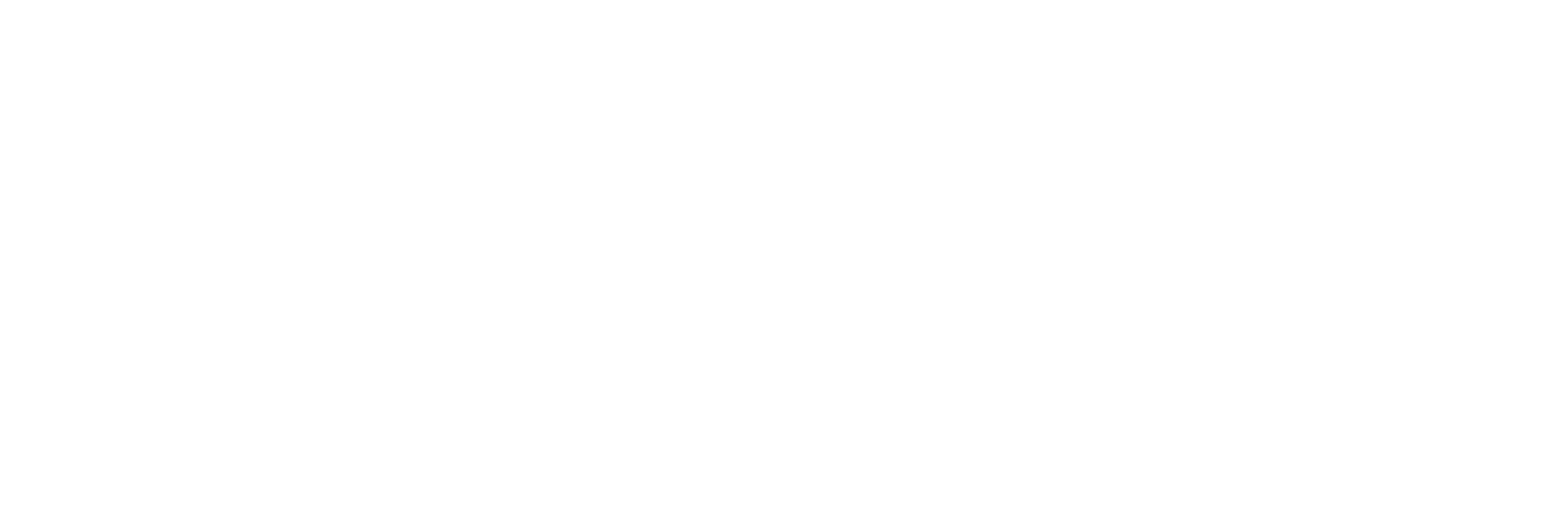 Zebra Building Stylized Logo in White