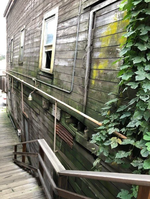 North side of The Star Theater with weathered siding, windows, and overgrown vines..