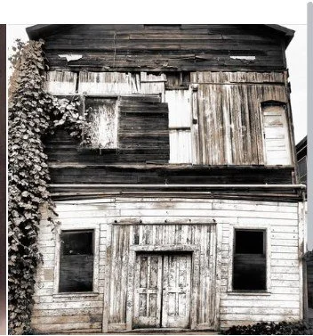 The Star Theater is an old, weathered wooden building with boarded-up windows and doors, covered in climbing vines on the left side.