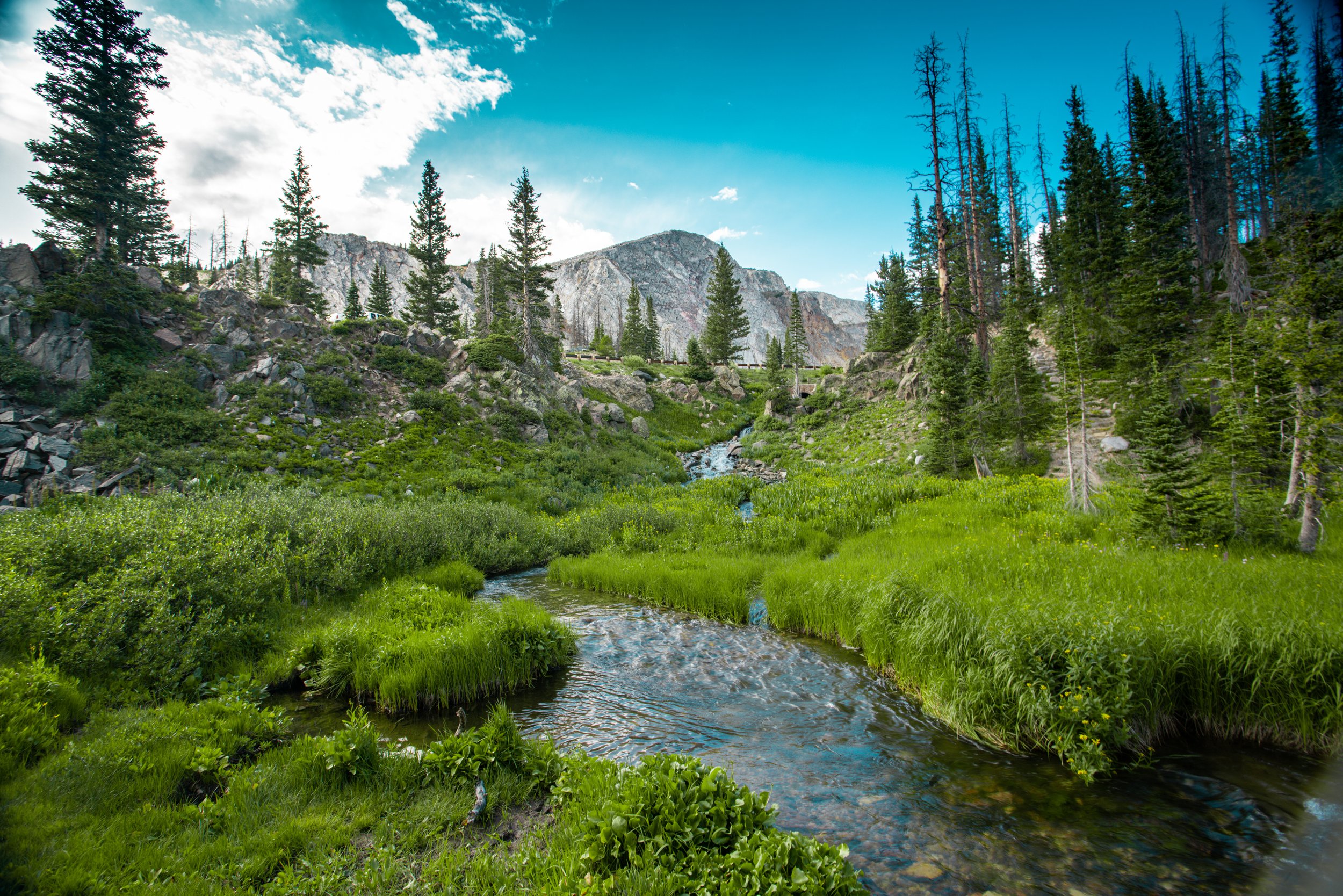 Summer in Medicine Bow Wyoming