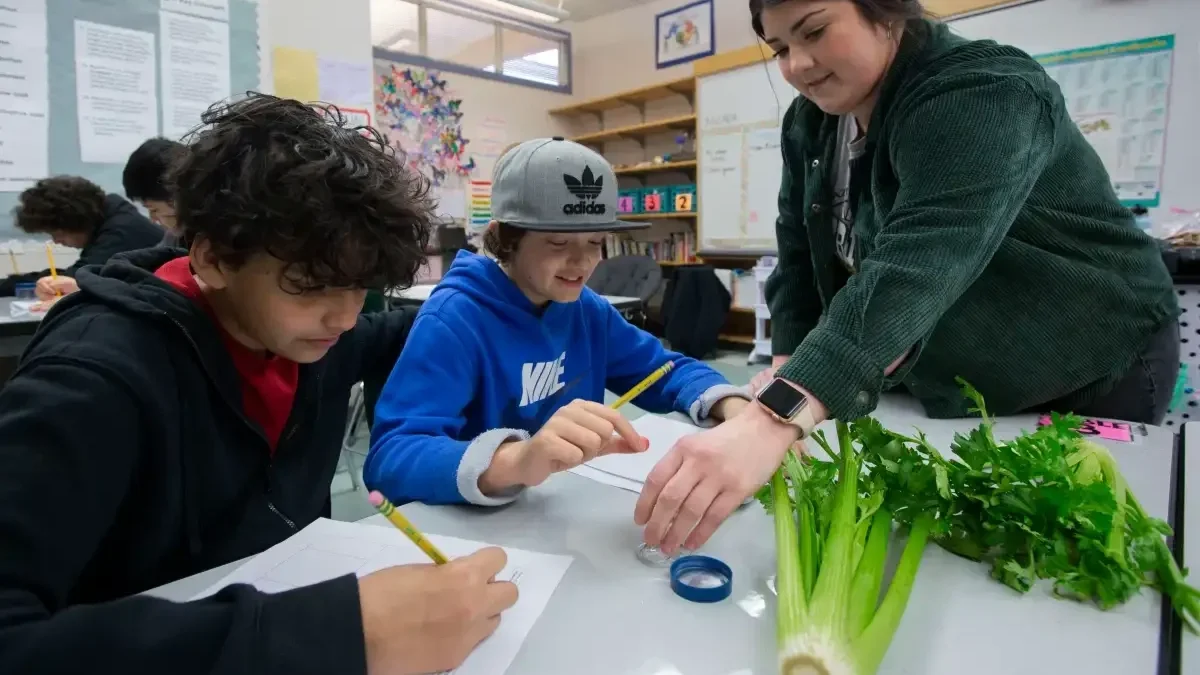Career tech programs growing in Sonoma Valley
