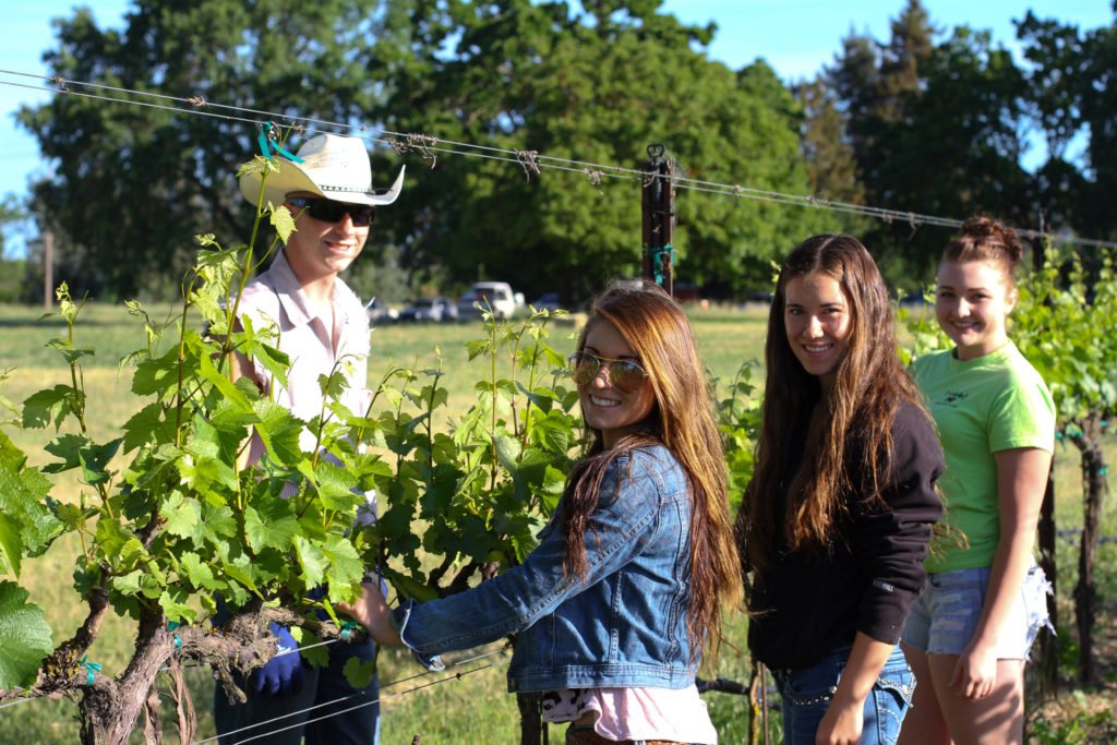 Four young women and one young man smiling in a vineyard on a sunny day.