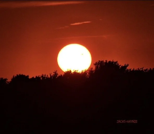 Photograph of the rare Venus Transit, showing the planet crossing the face of the setting sun, captured by Rob Smith.