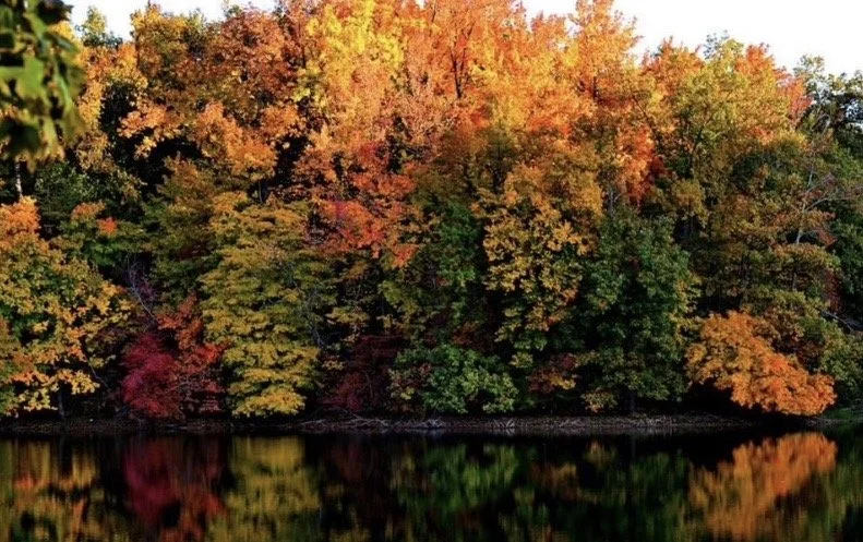 Brilliant fall foliage reflected on calm water, capturing vibrant autumn colors in a peaceful landscape photograph by Rob Smith.