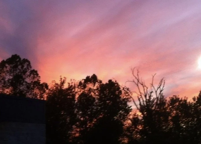 Brilliant pink and purple sunset clouds above silhouetted trees, captured in a landscape photograph by Rob Smith.

