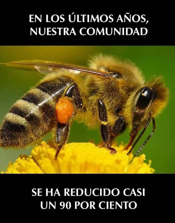 Un abeja en una flor con texto que dice: "En los últimos años, nuestra comunidad se ha reducido casi un 90 por ciento".