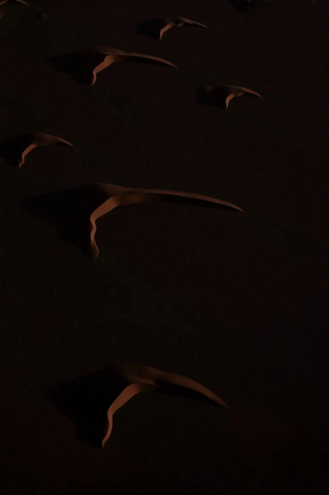 |Omuriro I, II, III, IV , Namibia 2024. OMOMAS