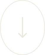 The Bradshaw cream colored downward arrow graphic.