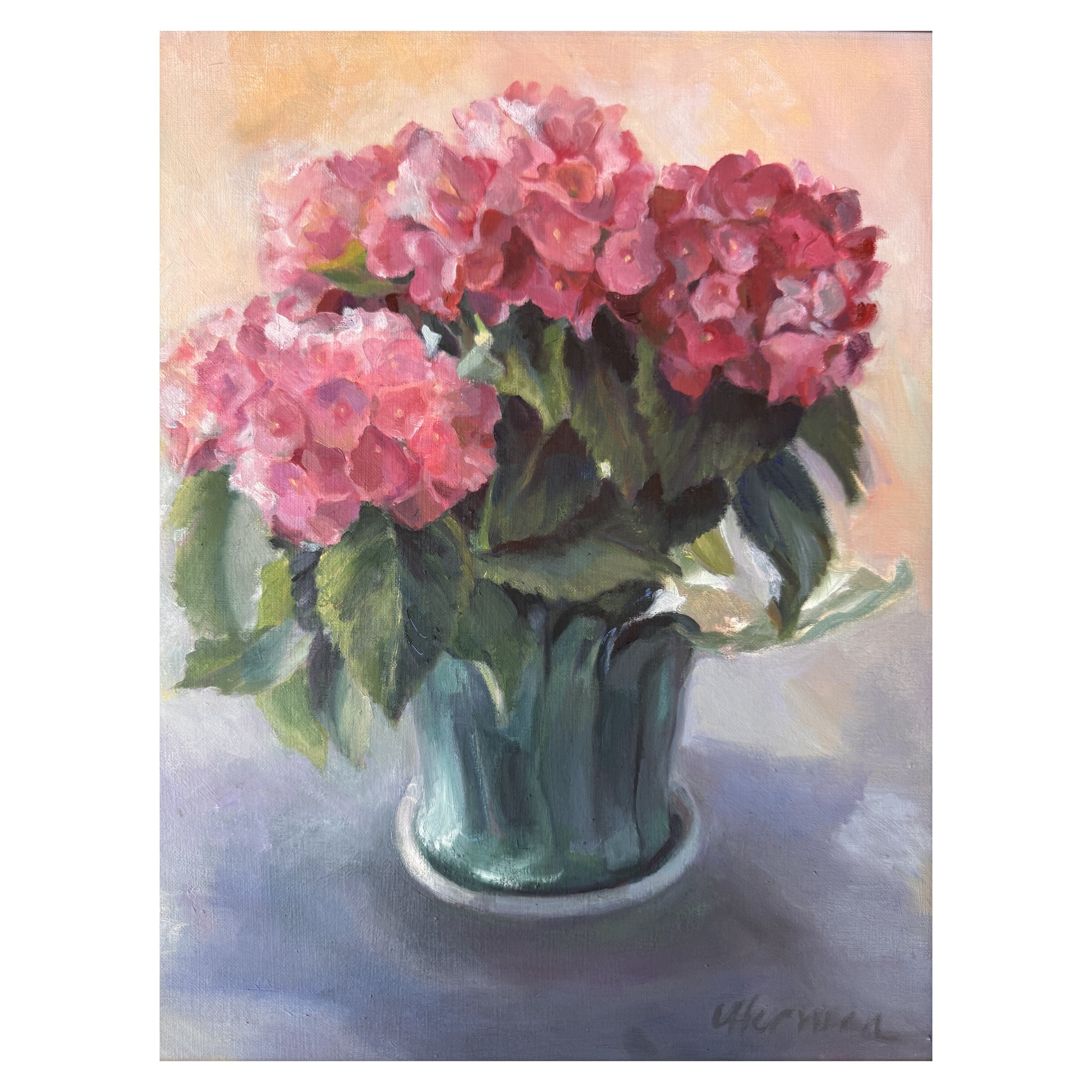 Pink Hydrangeas