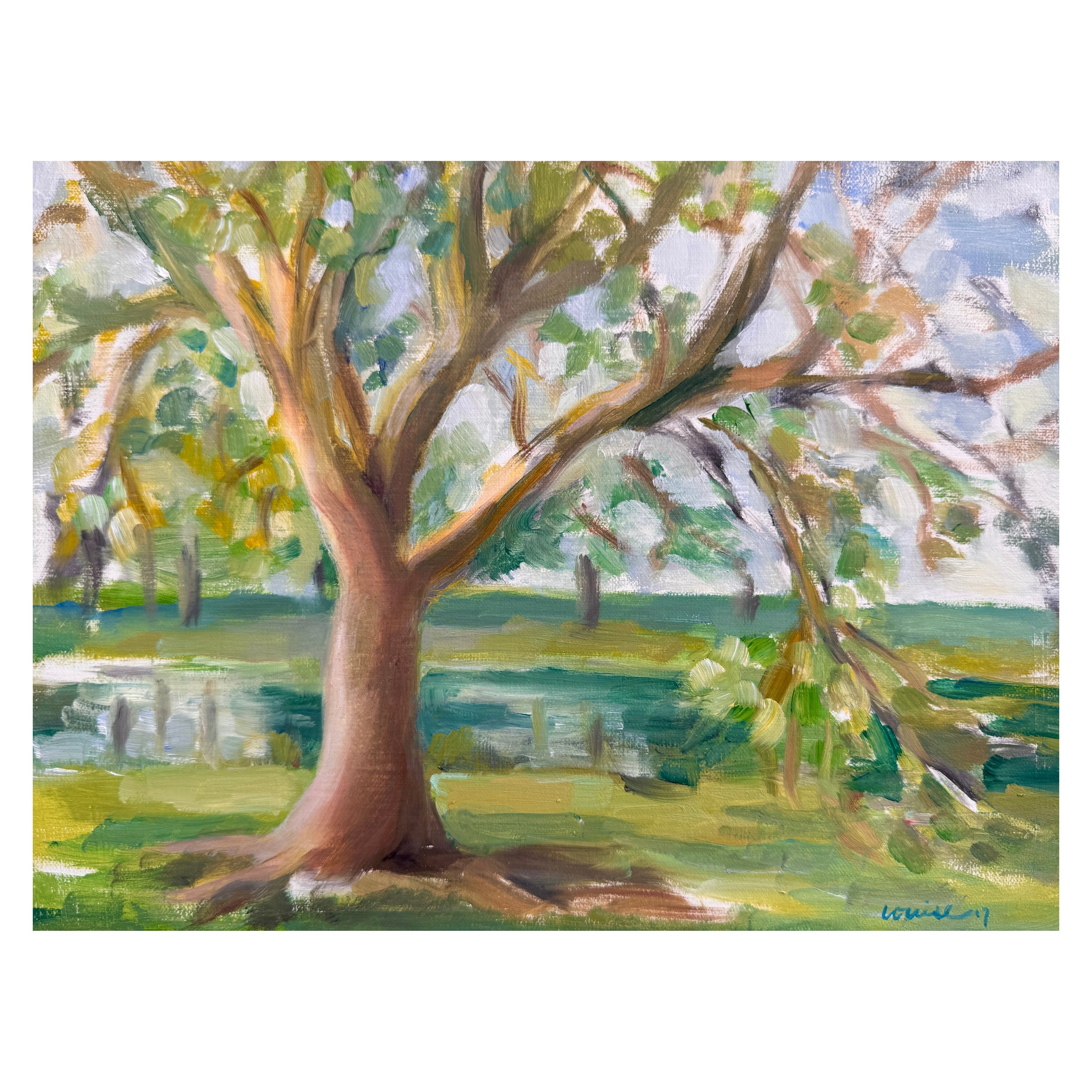 Tree by the Water