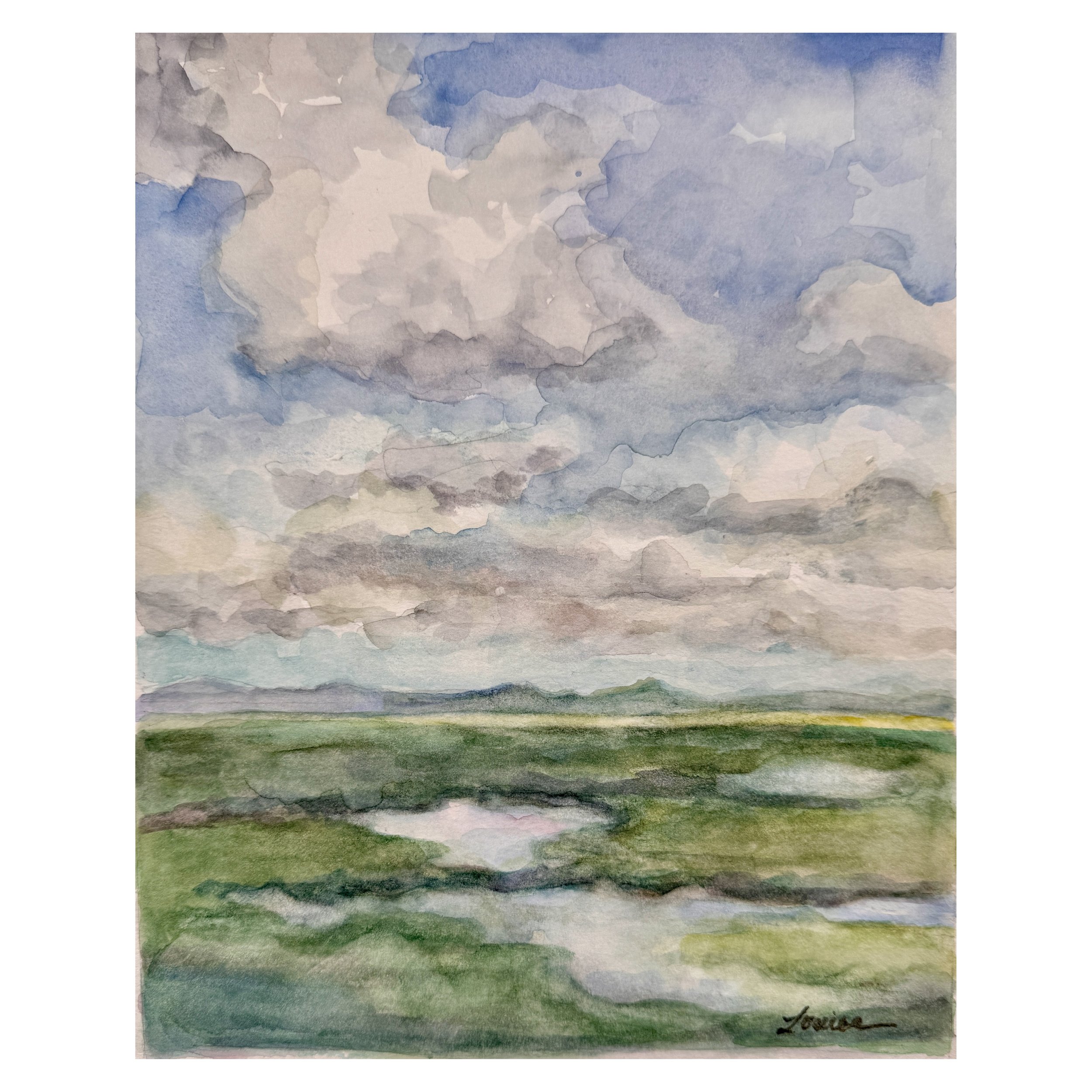 Marsh Under Clouds