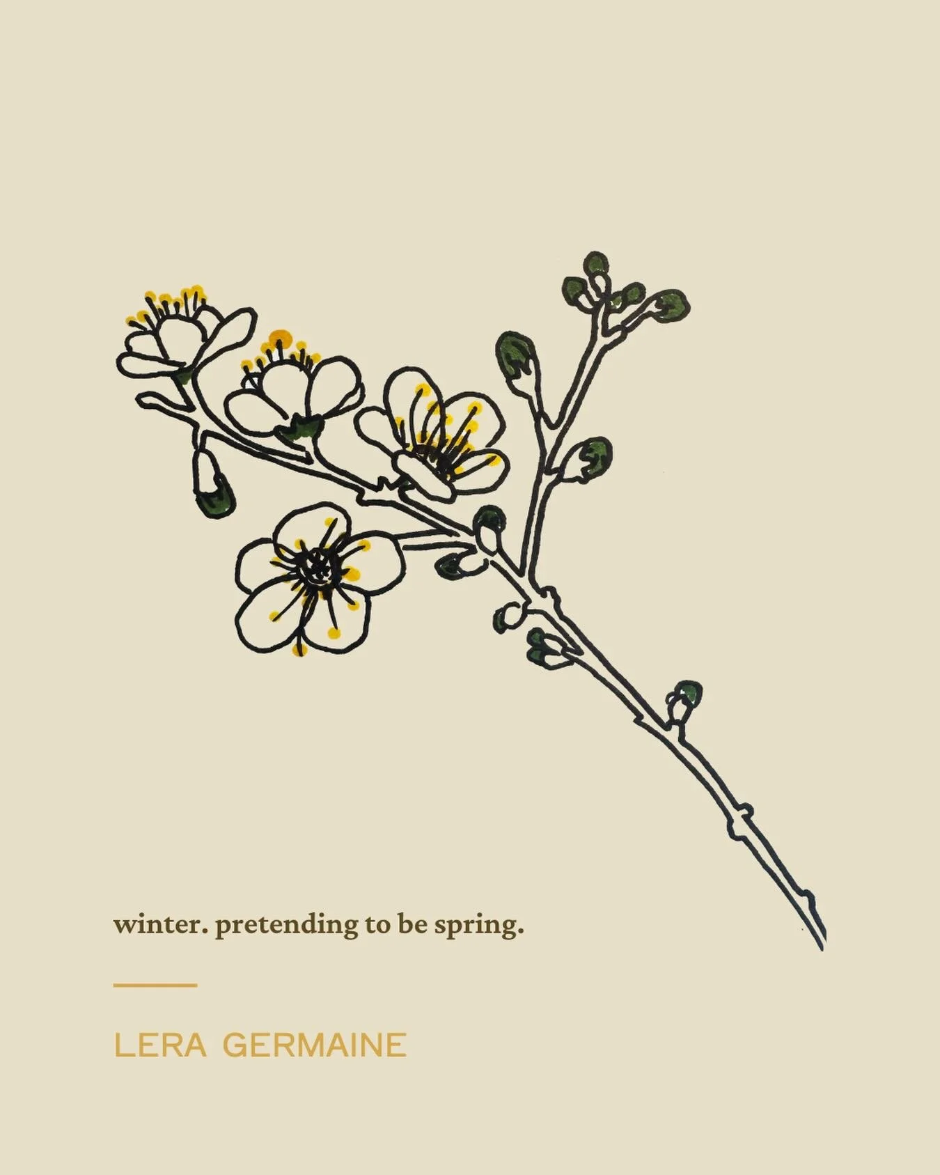 pen on a page.
blackthorn &mdash; it flowers before it leafs. sometimes the effort is half the battle.

botanical illustration | pen and ink | coastal fantasy | adult romantasy

#penandink #botanicalillustration #fantasyart #fantasybooks #leraland