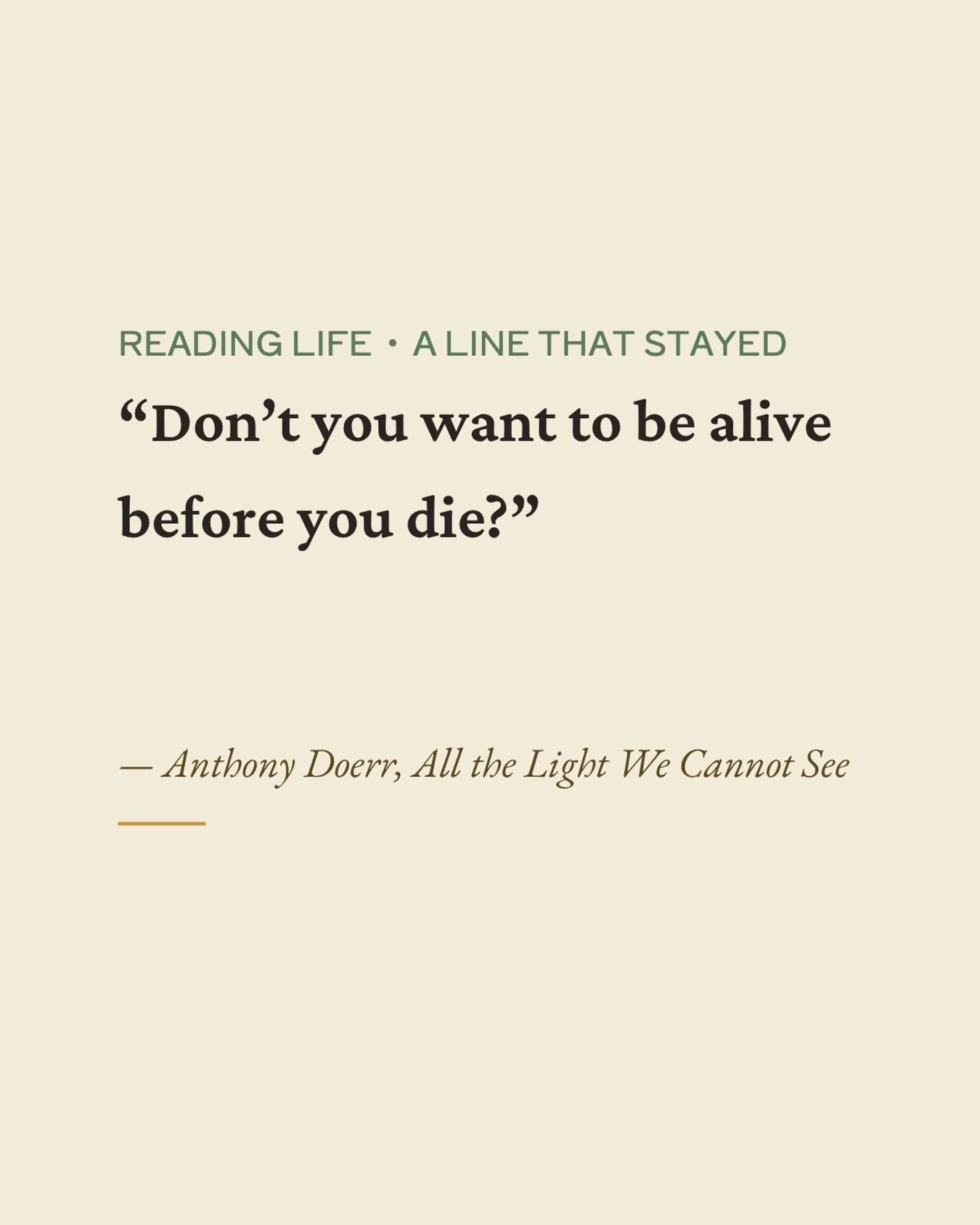 the line that lives in my chest rent-free. 

&mdash; Anthony Doerr, All the Light We Cannot See 

@anthonydoerr_author 

literary fiction | reading life | leraland 

#currentlyreading #bookstagram #literaryfiction #fantasybooks #leraland
