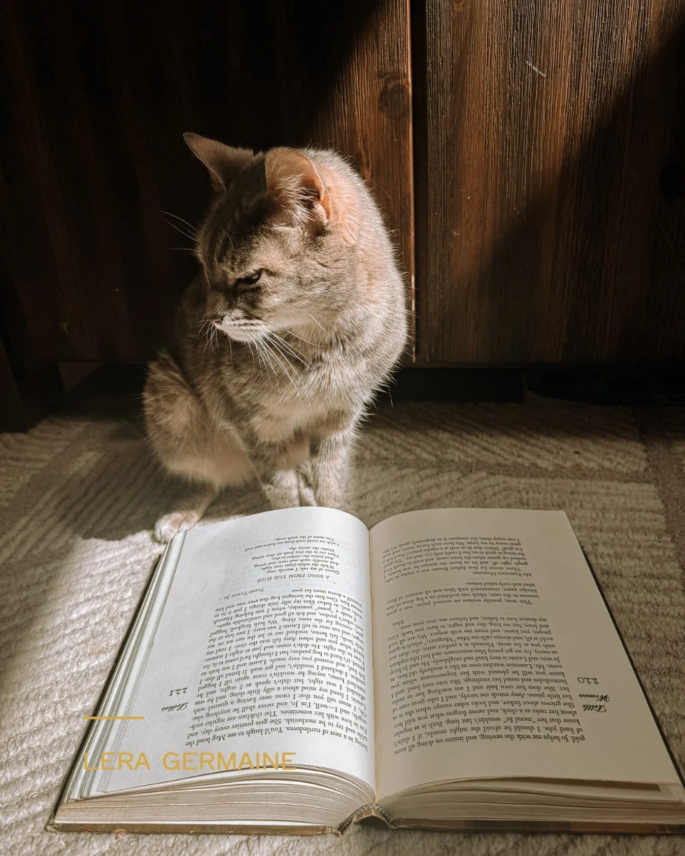 creature comforts are everything when you&rsquo;re in the rabbit hole of editing. apparently my cat agrees that Little Women deserves a closer look.

leraland | writer life | the glamour of writing novels 

#writinglife #amwriting #authorlife #writer