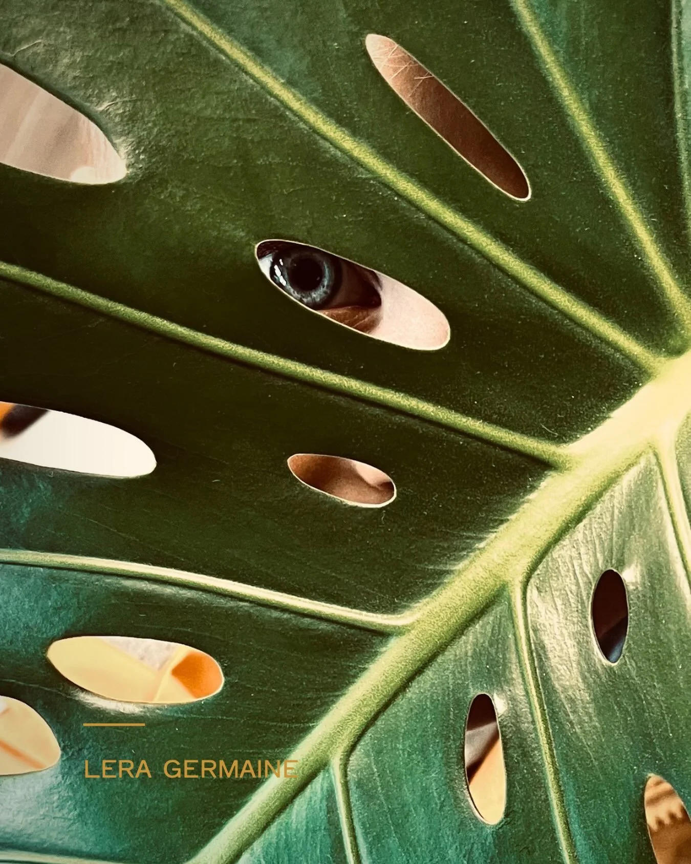 always watching.

leraland | original photography | writer life

#leraland #originalphoto #plantlover #writersofinstagram #romantasy