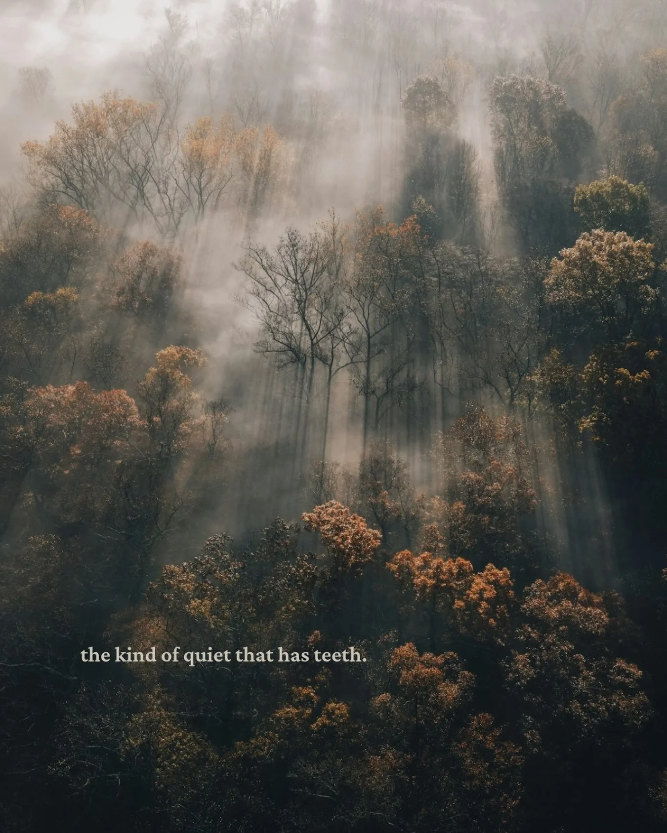 when silence can feel like a whole conversation.

adult romantasy | coastal fantasy | slow burn writing

📷 Brendan Beale on Unsplash

#romantasy #adultfantasy #fantasyworld #coastalaesthetic #leraland