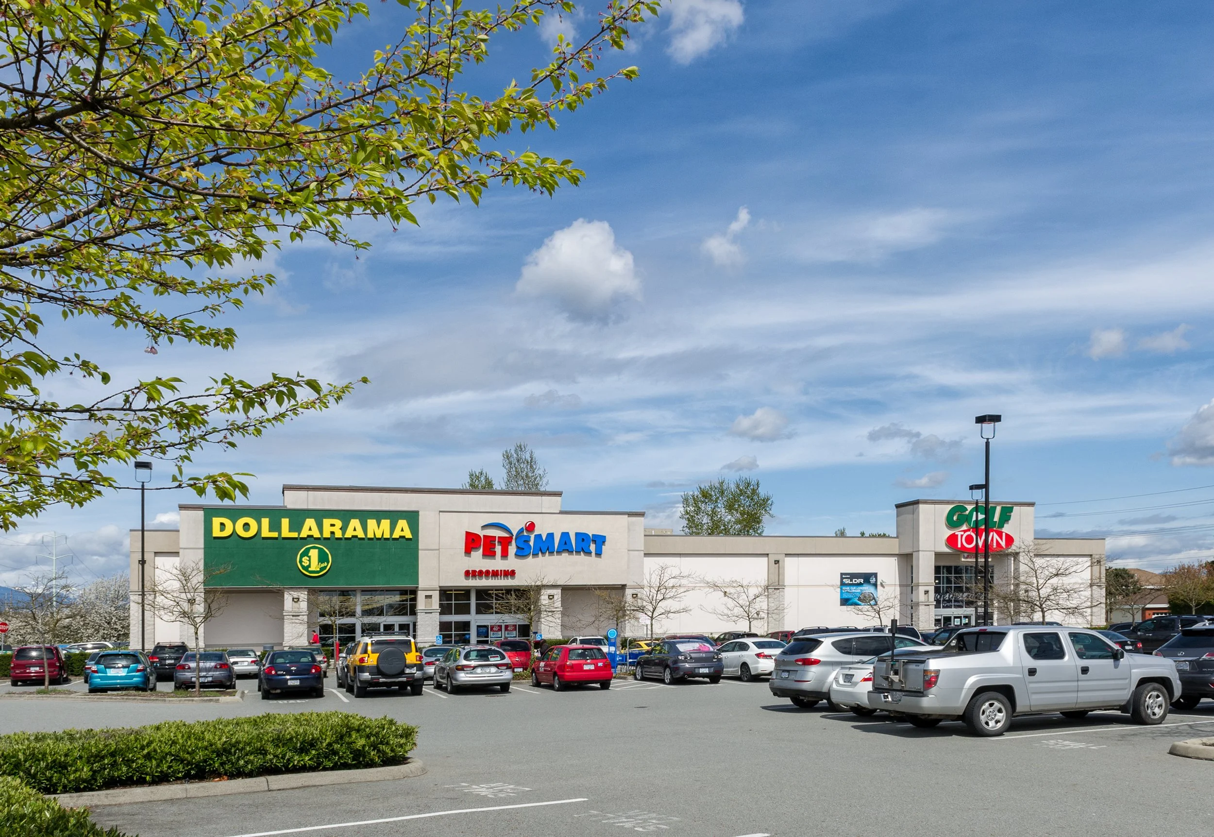 A shopping center parking lot with many parked cars. Behind the lot is a strip mall with signs for Dollarama, PetSmart Grooming, and Golf Town. There are buildings with a blue sky and some clouds overhead.